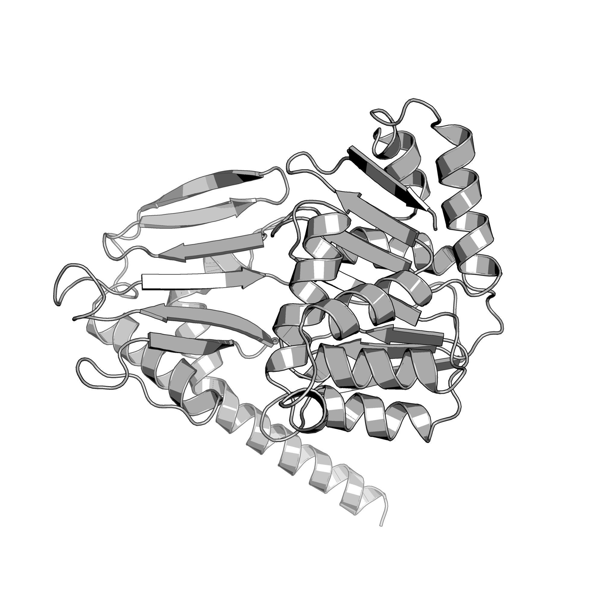2PT7 structure