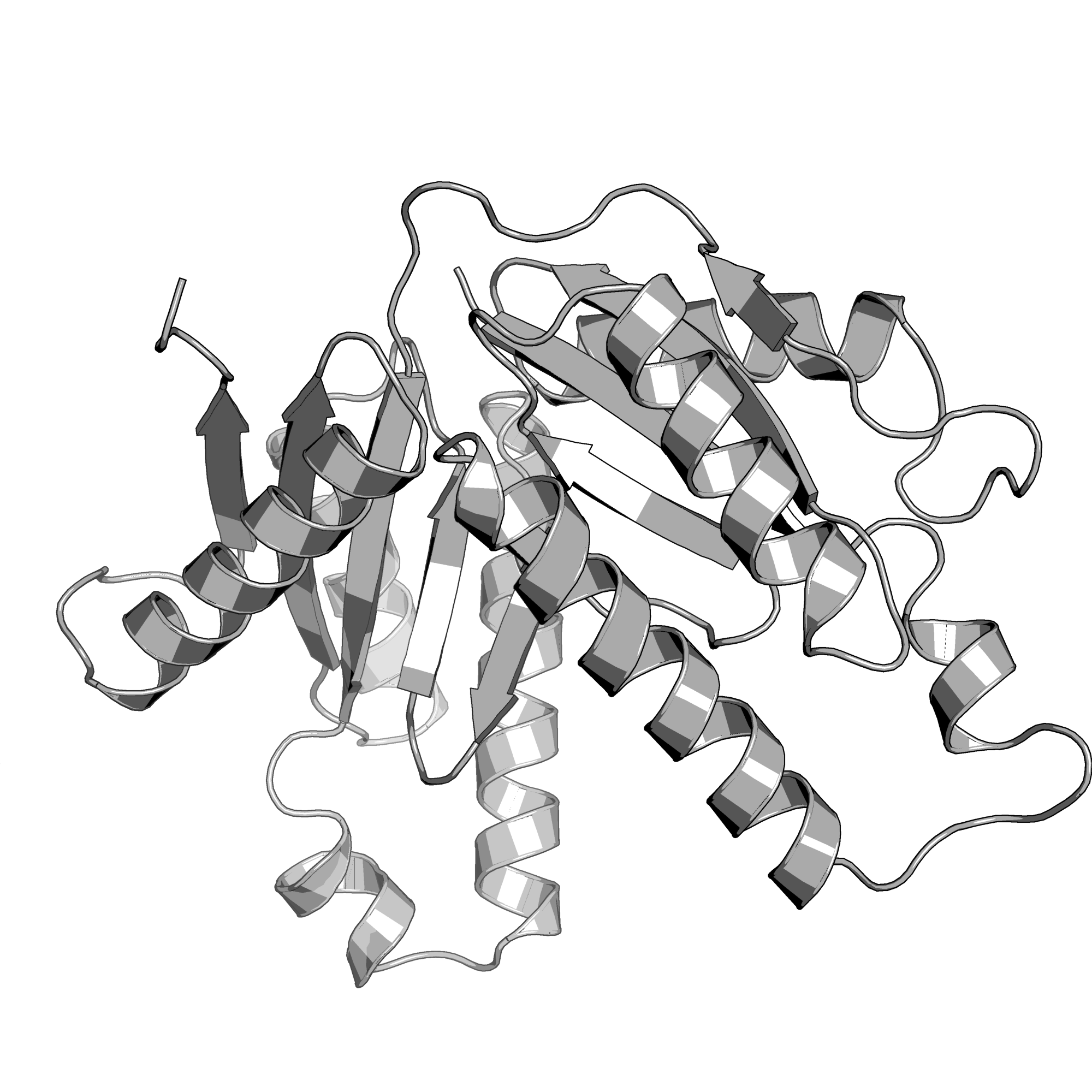 2QV6 structure