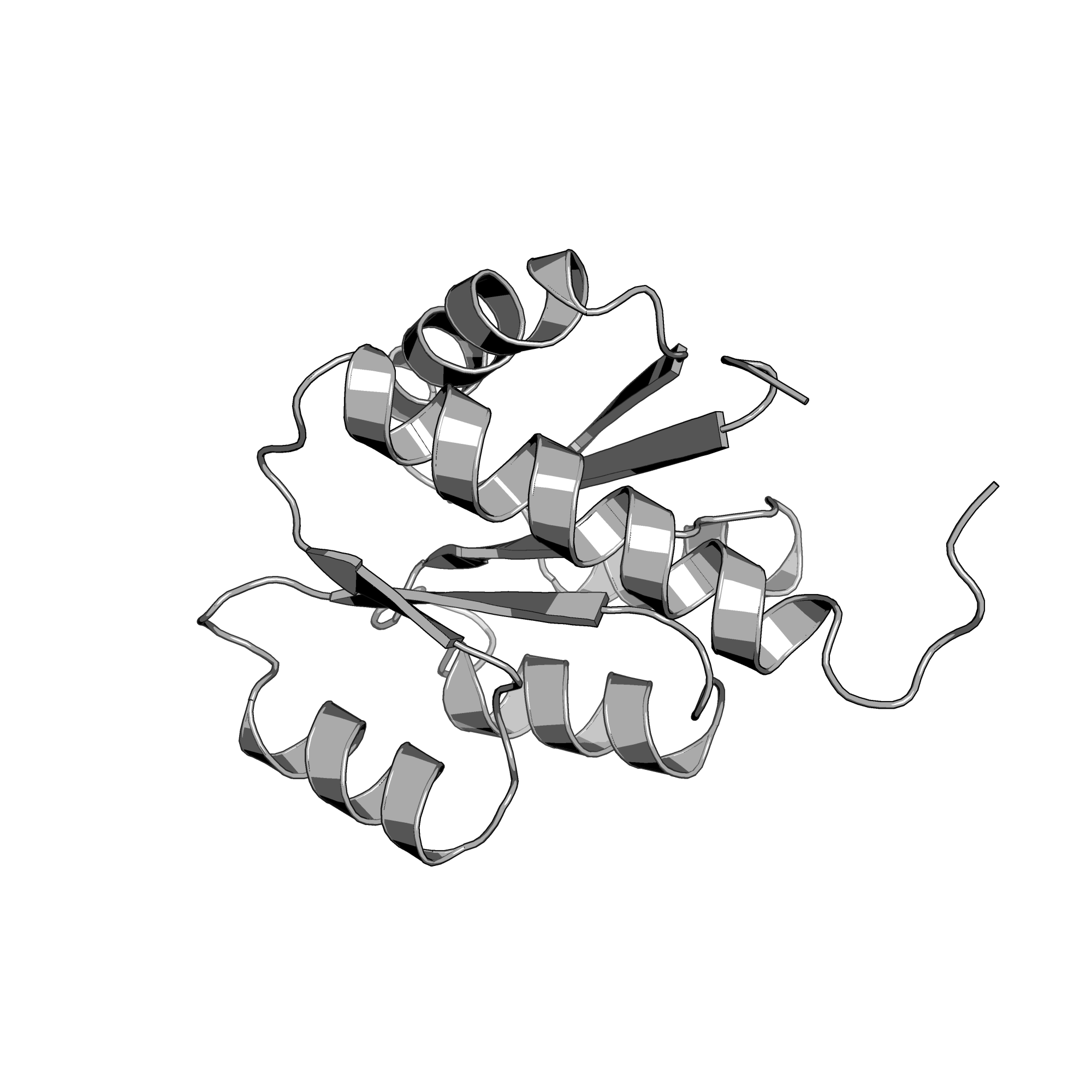 2RJN structure
