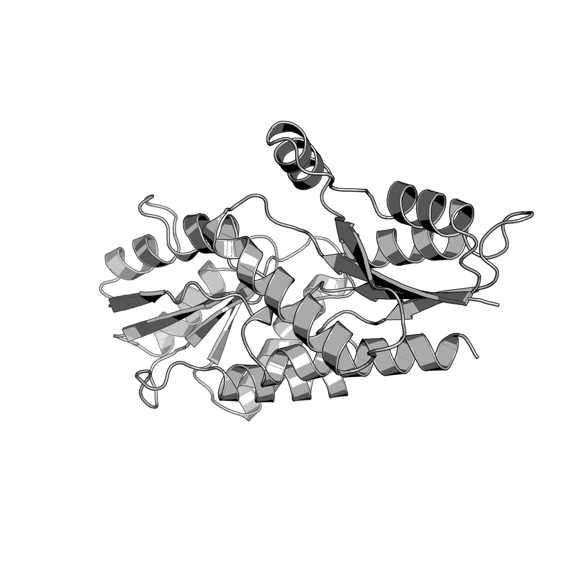 2XVY structure
