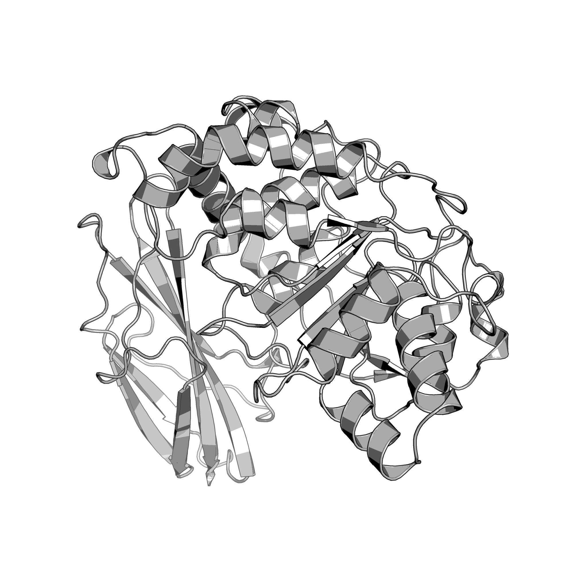 2YHG structure