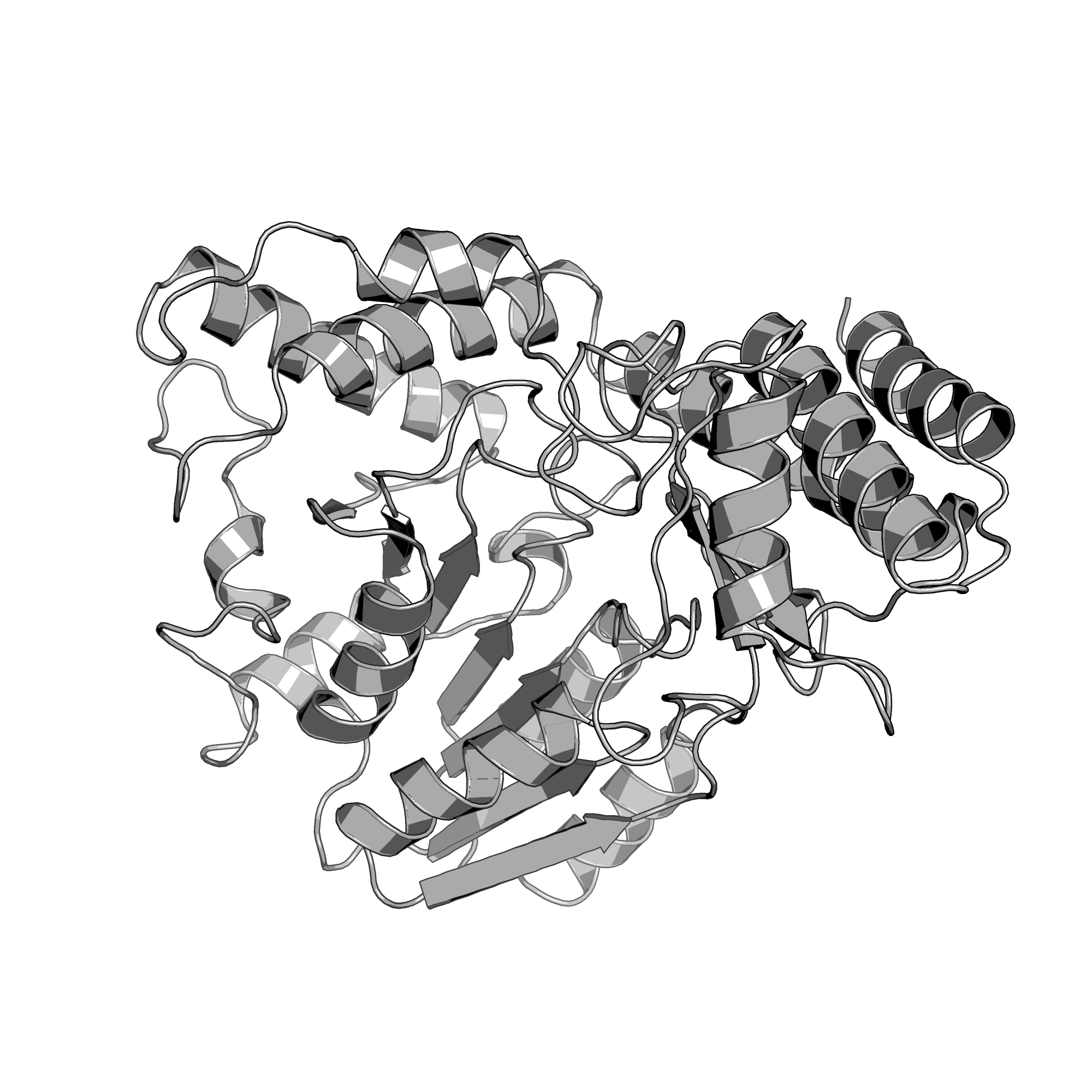 2Z9U structure
