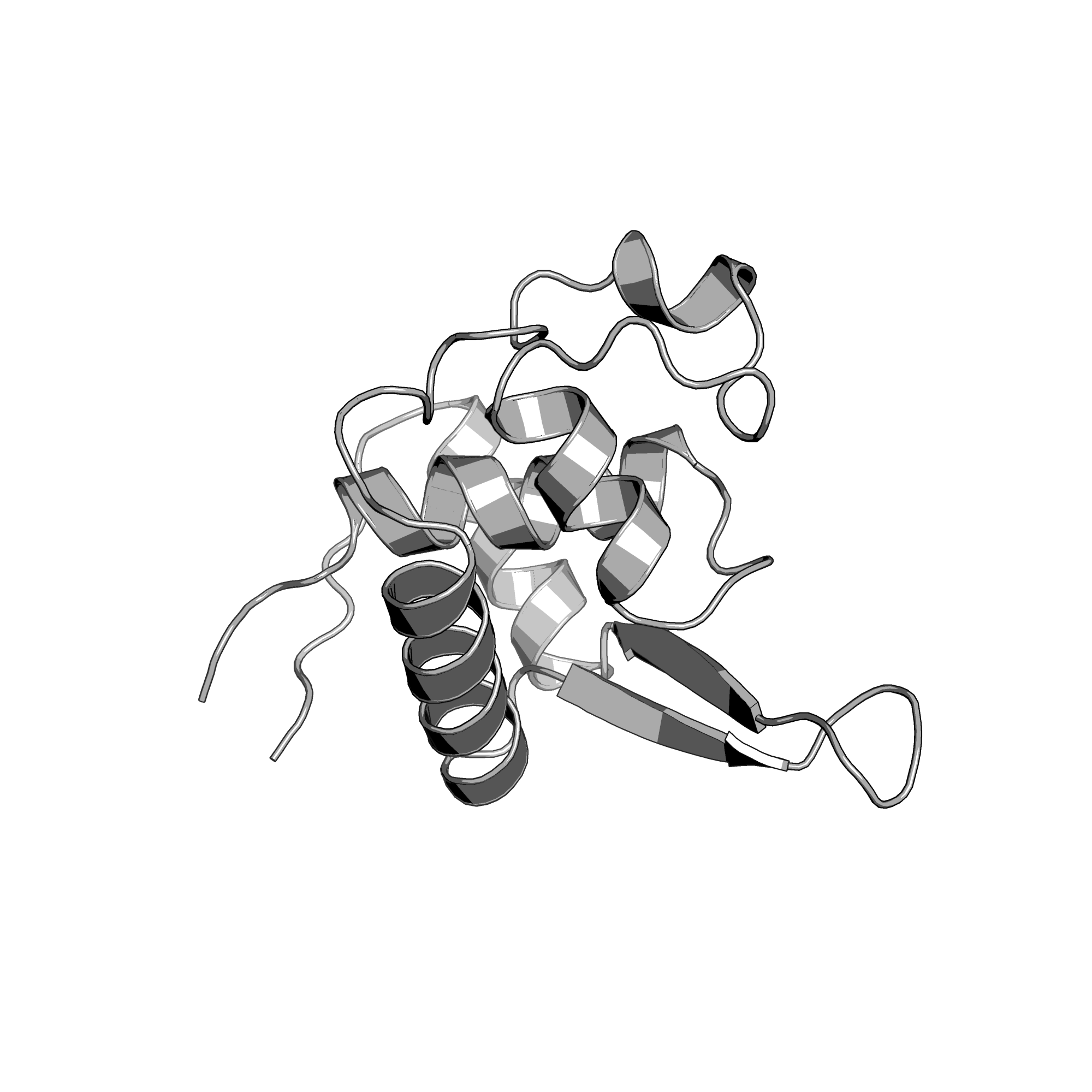3AAF structure