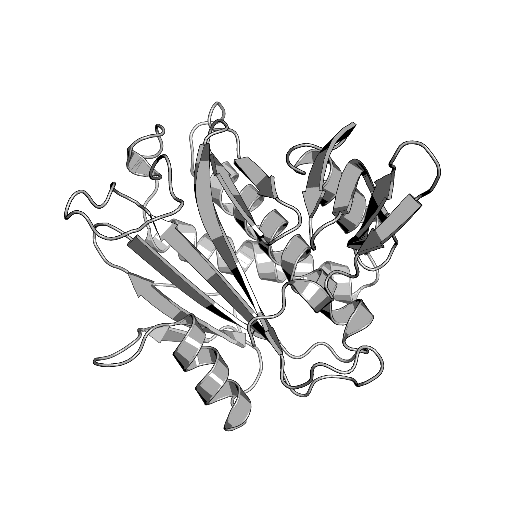 3BFM structure
