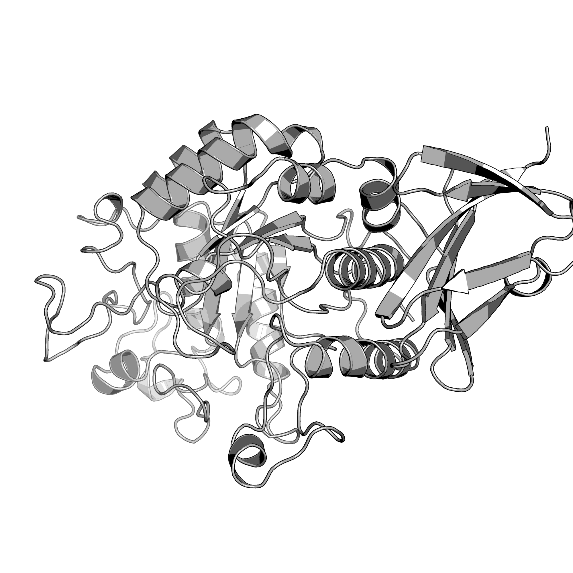 3CC1 structure