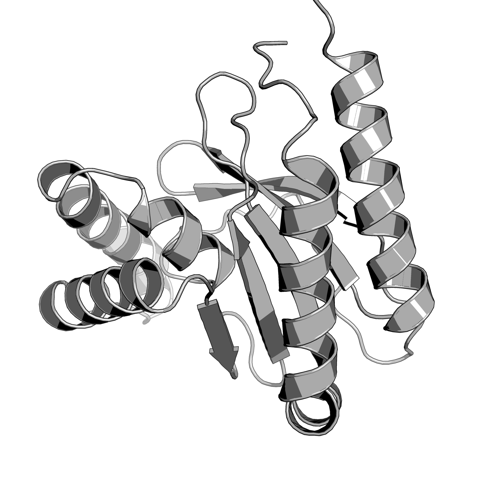 3D3O structure