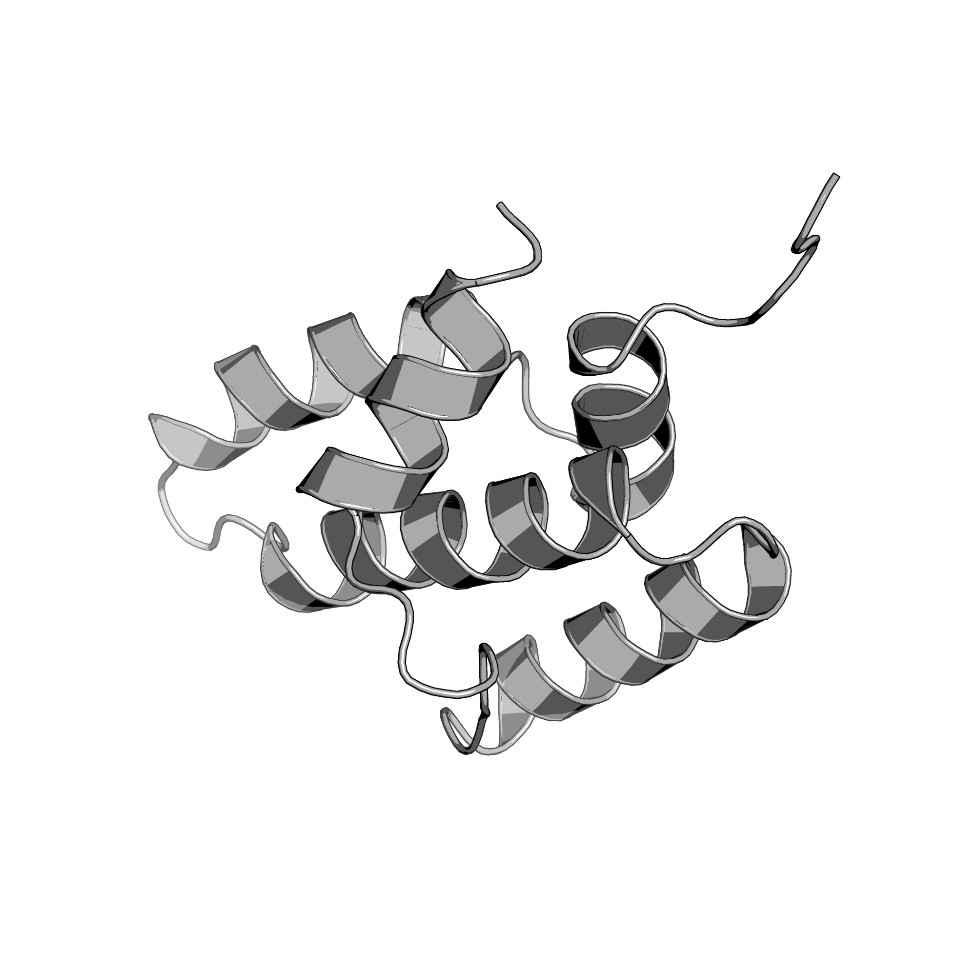3D8L structure