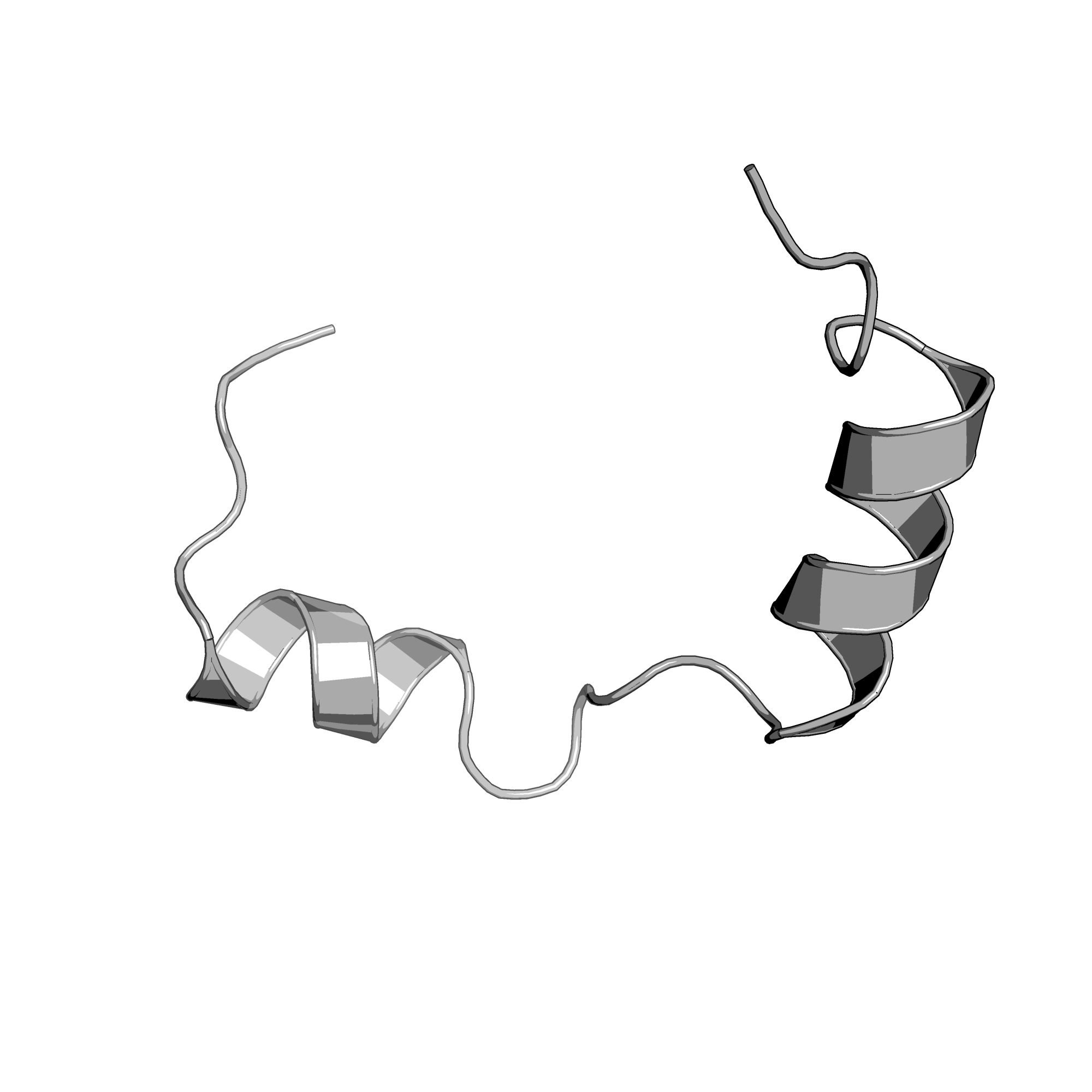 3DBO structure