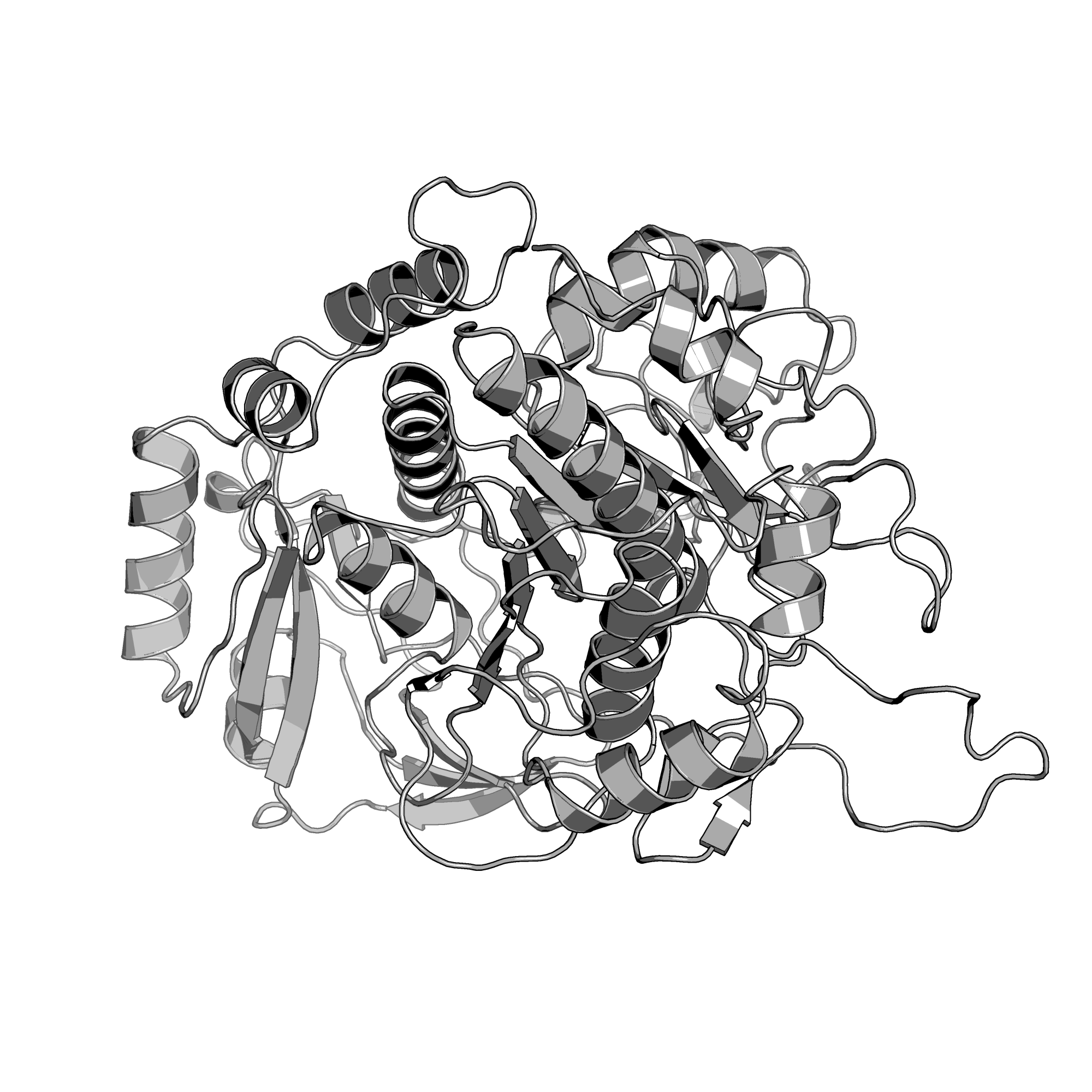 3EDY structure
