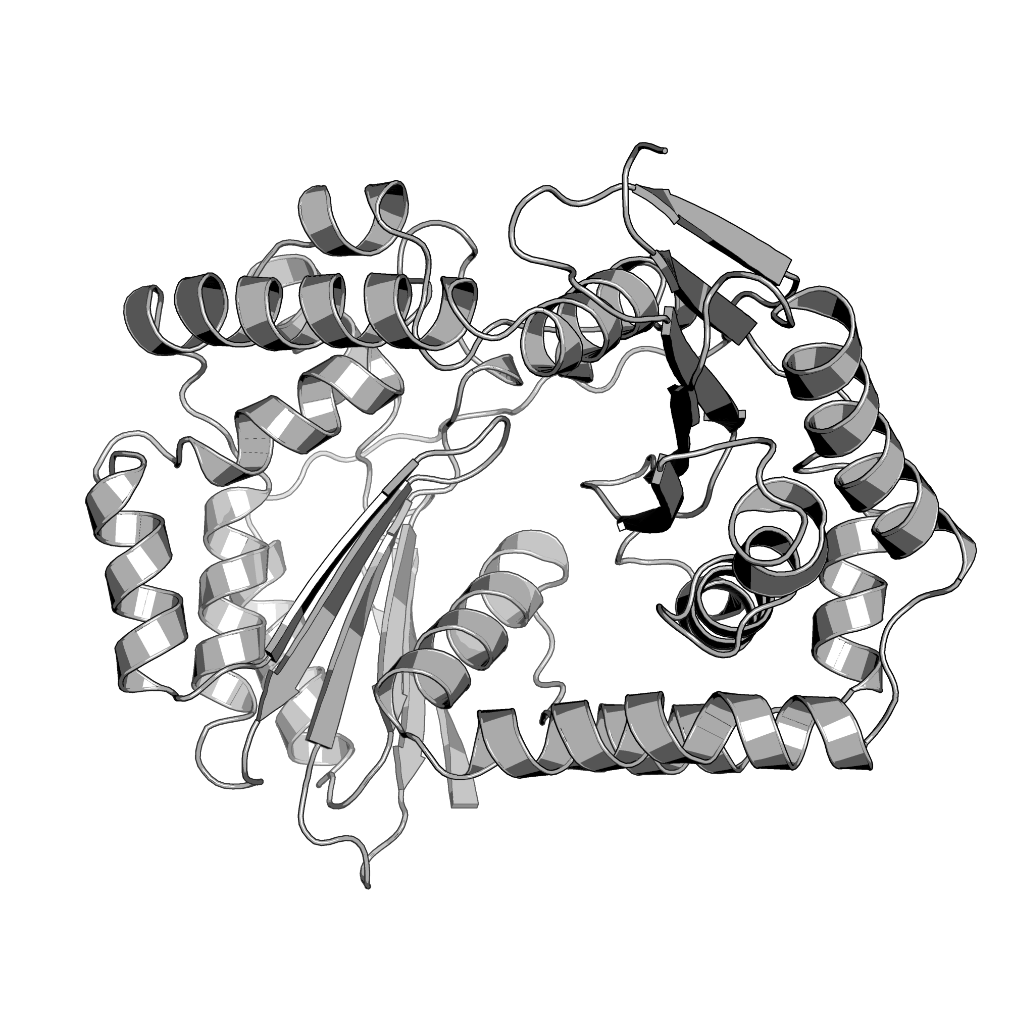 3EOQ structure