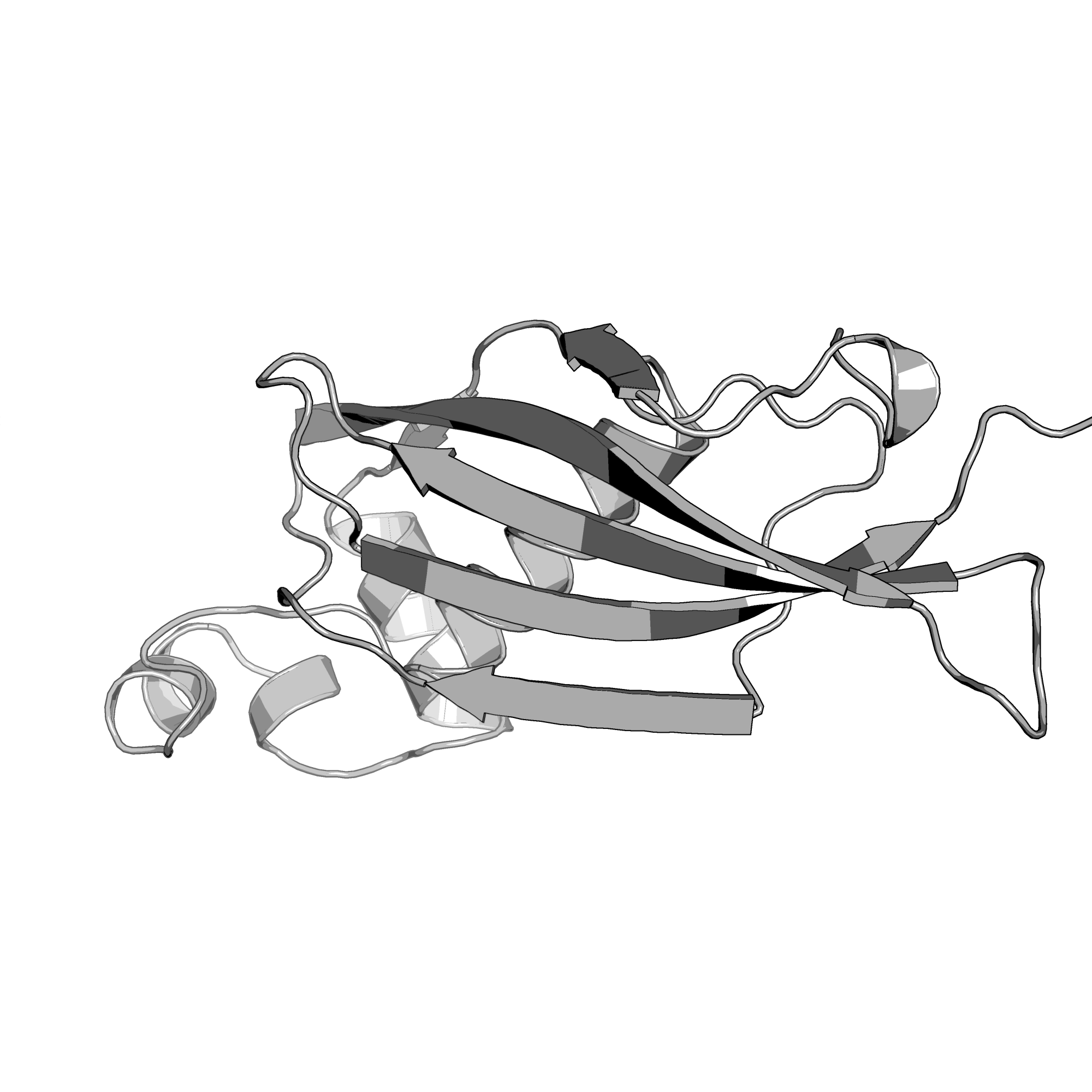 3EXZ structure