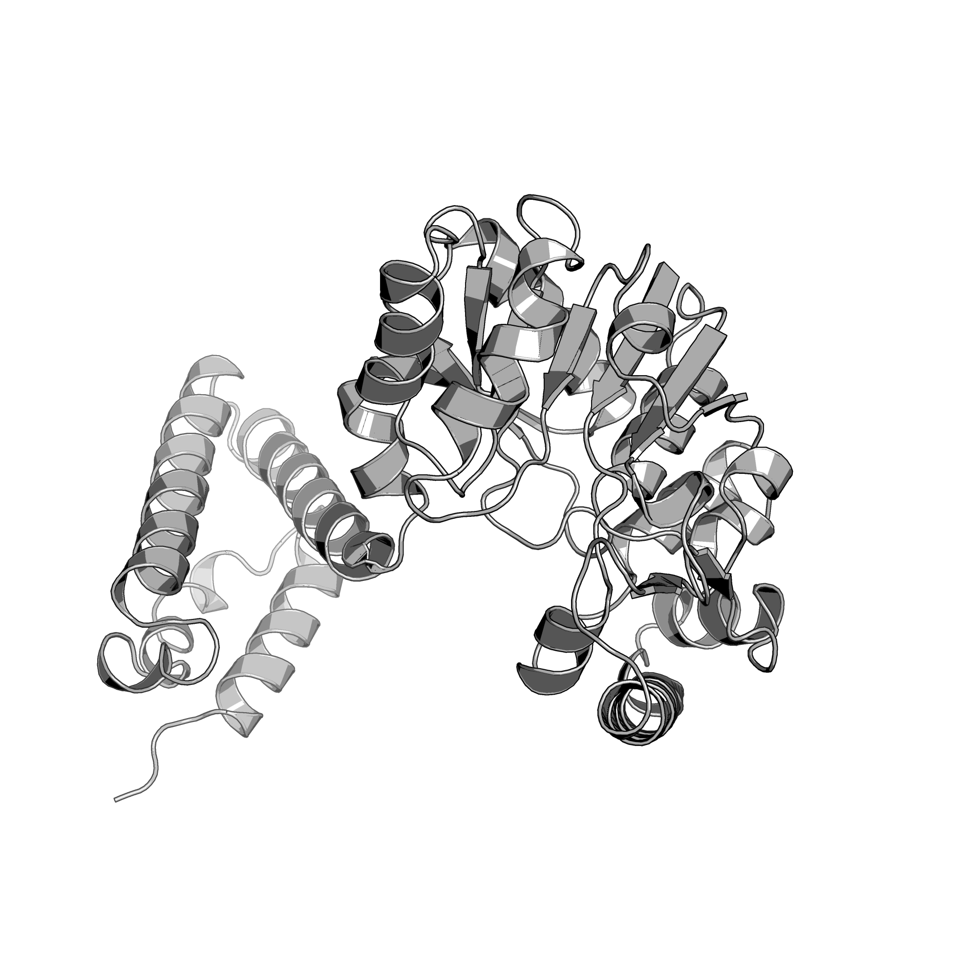 3F47 structure