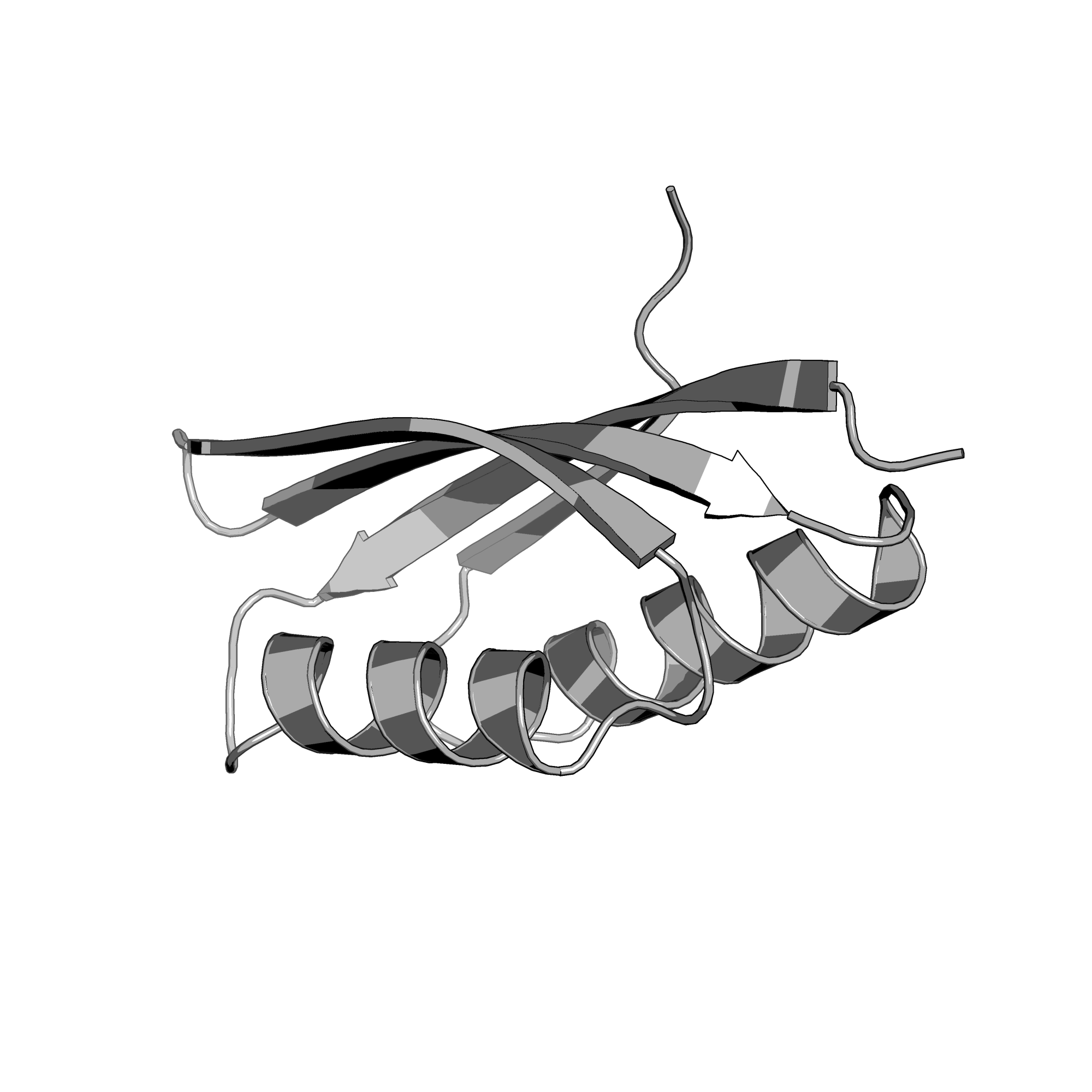 3IBW structure