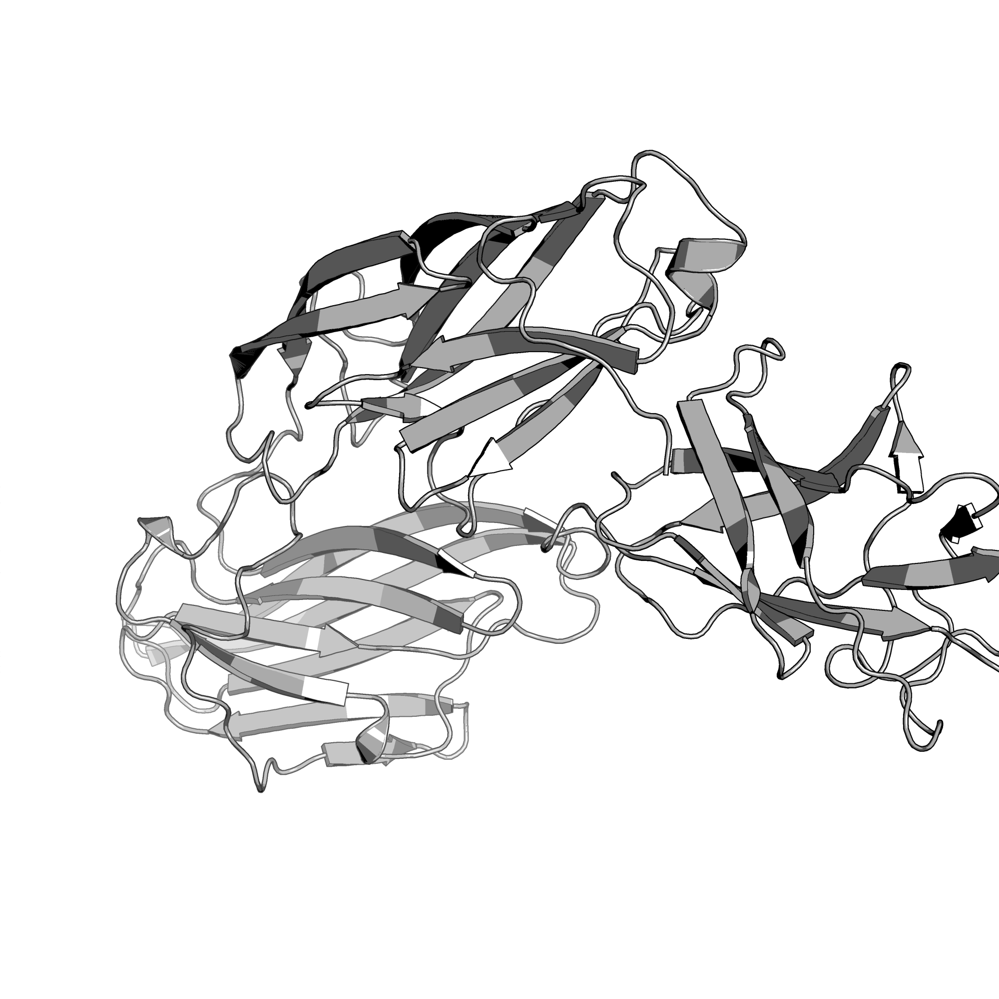 3IRP structure