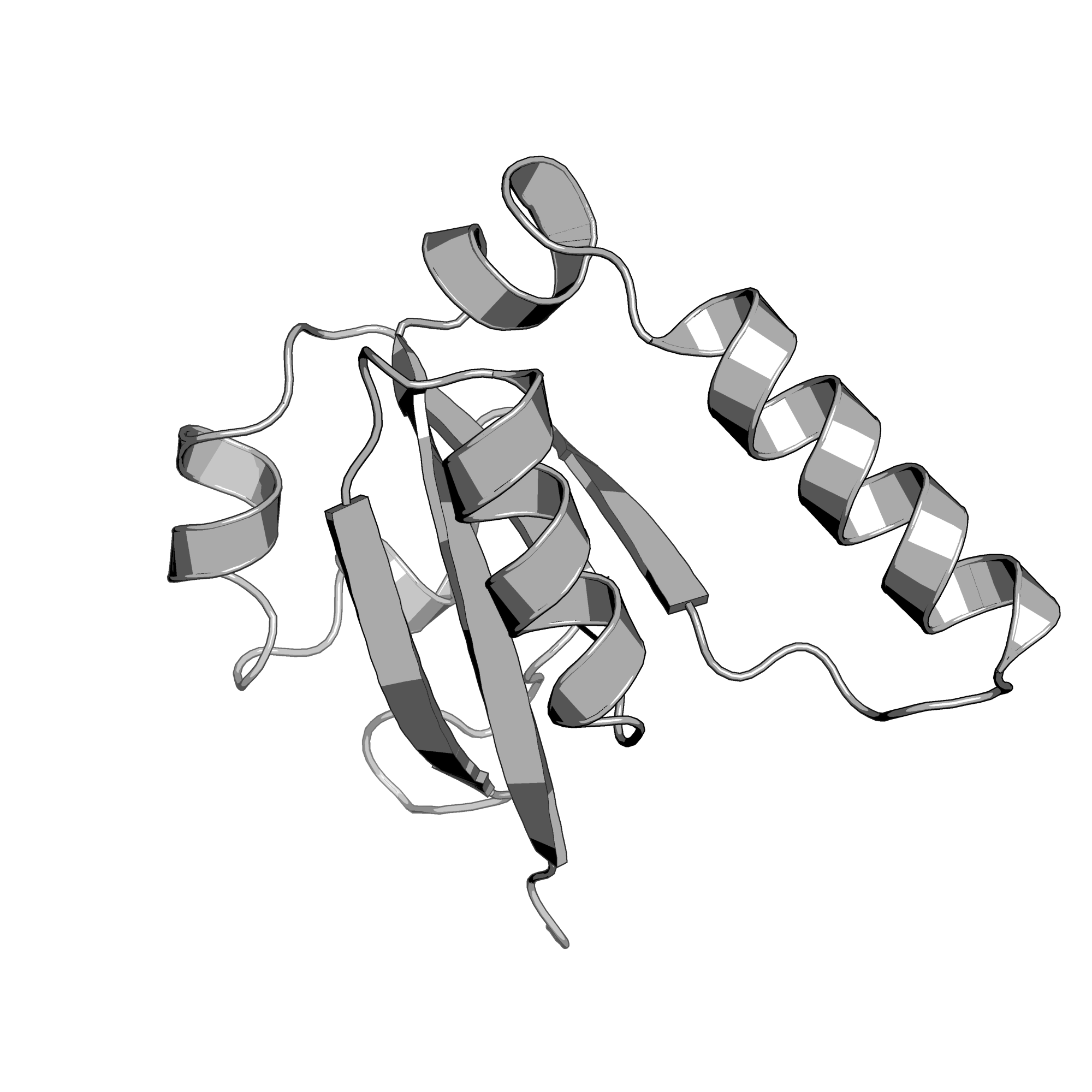 3JSR structure