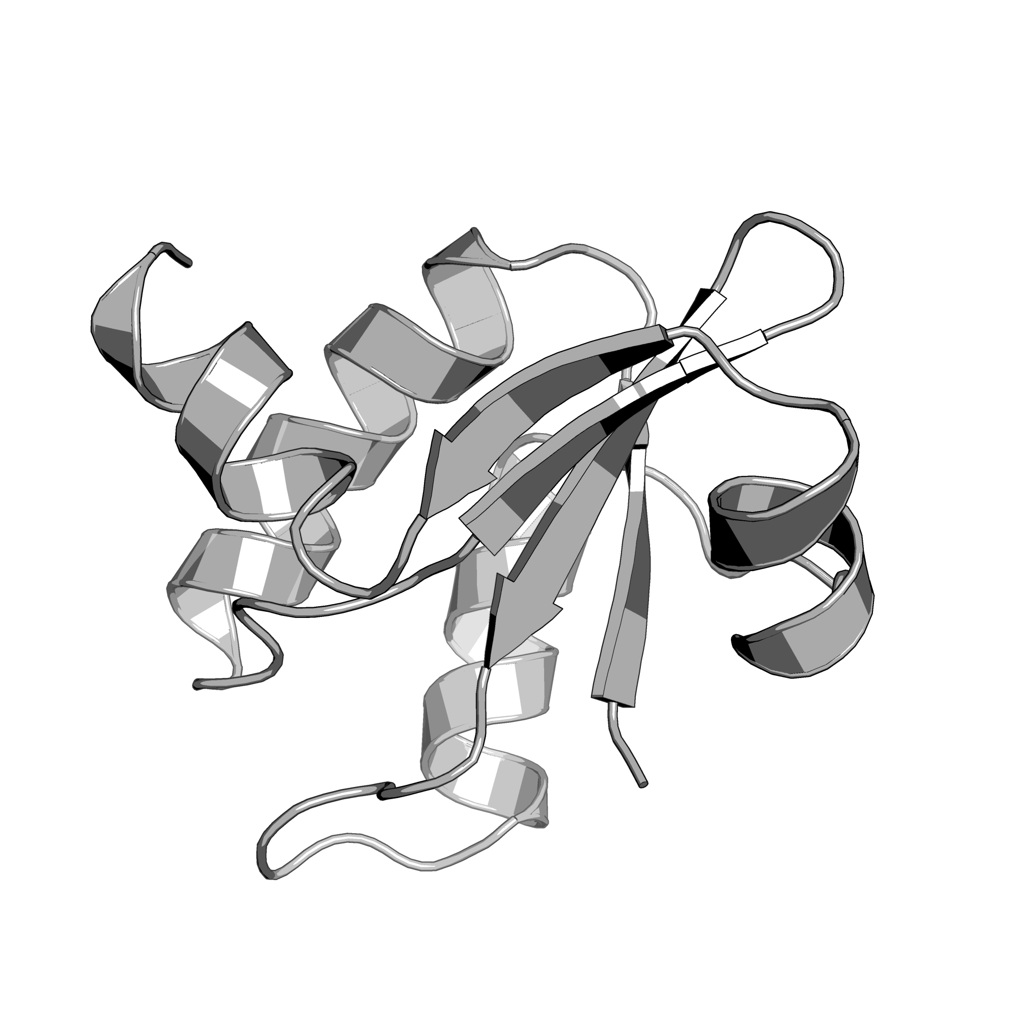 3JTN structure