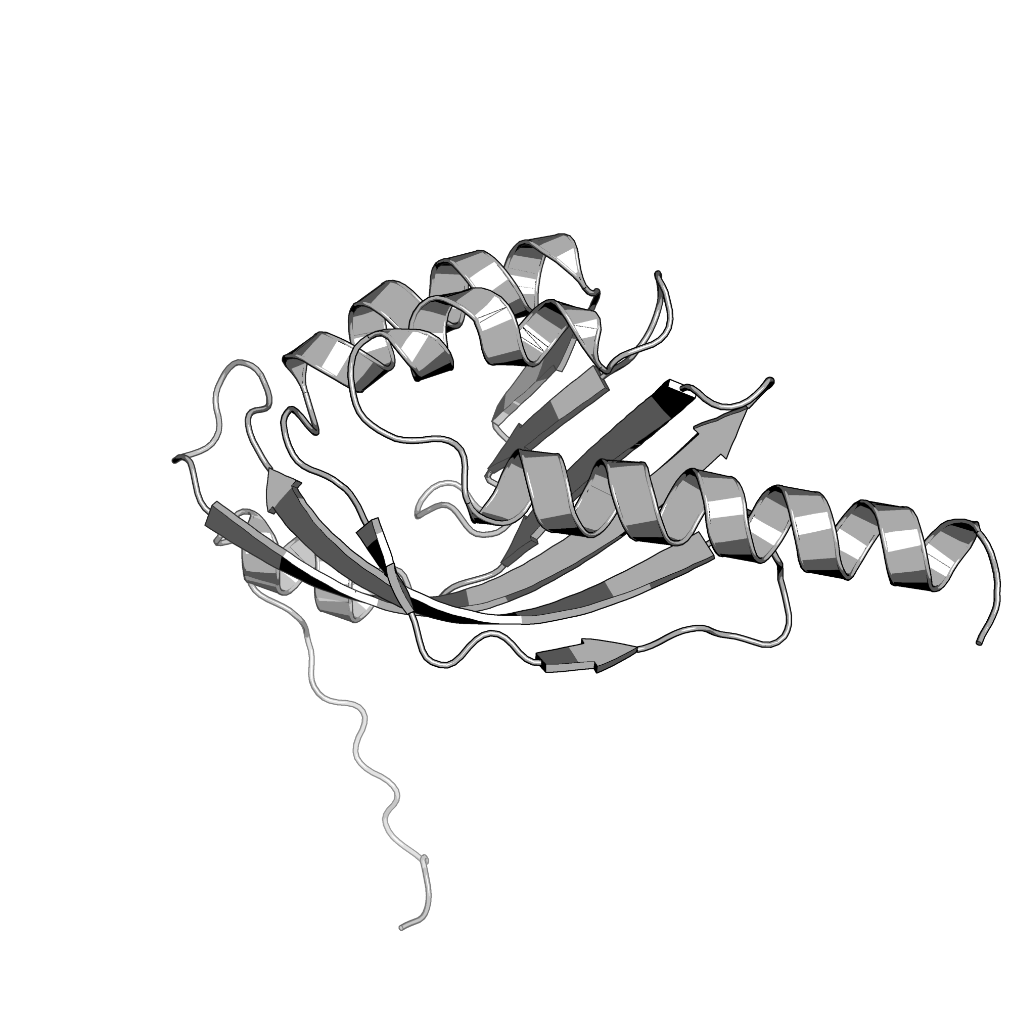 3JUM structure