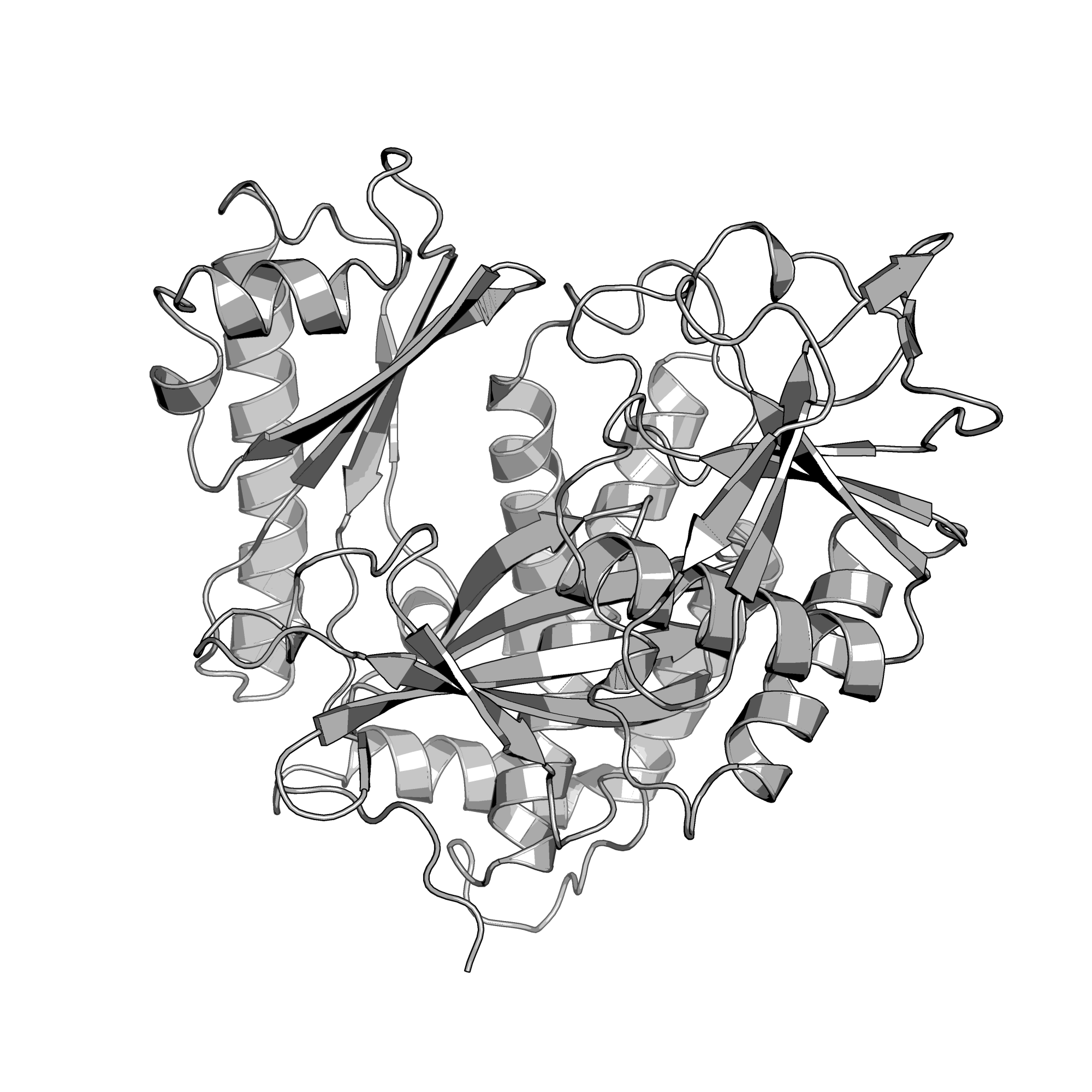 3K1T structure