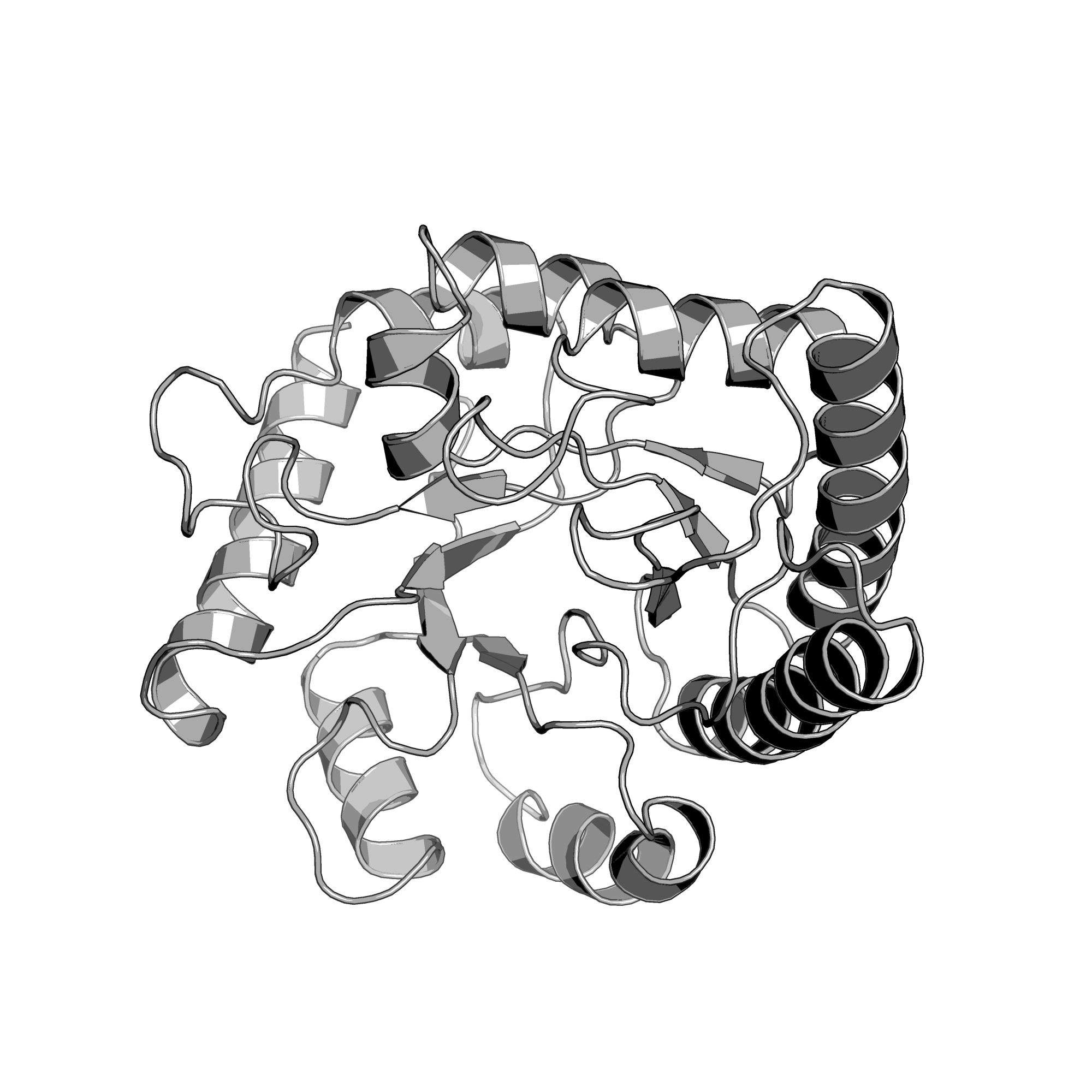3KWS structure