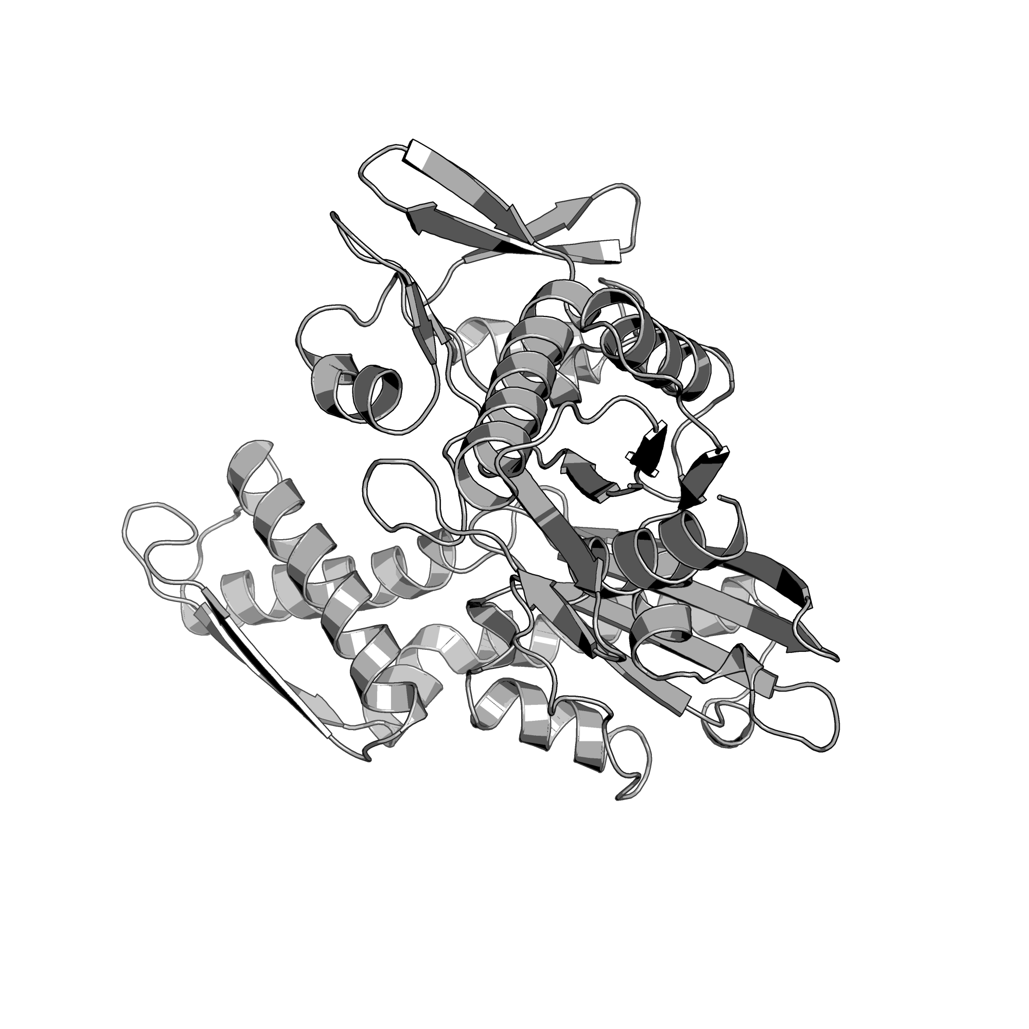 3LDQ structure
