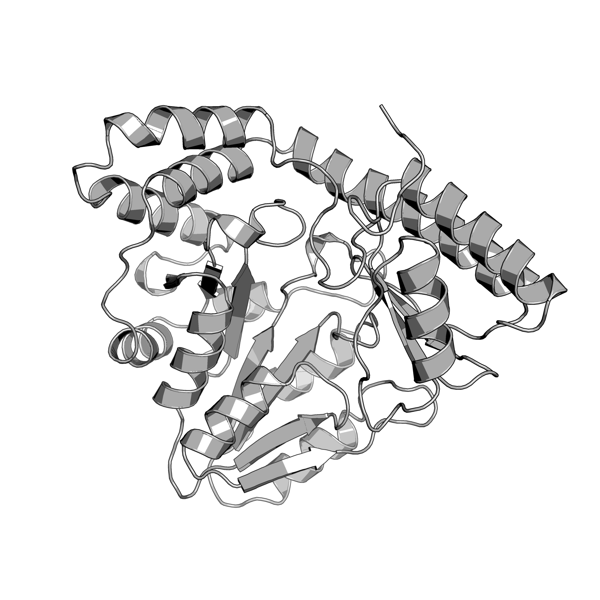 3LY1 structure