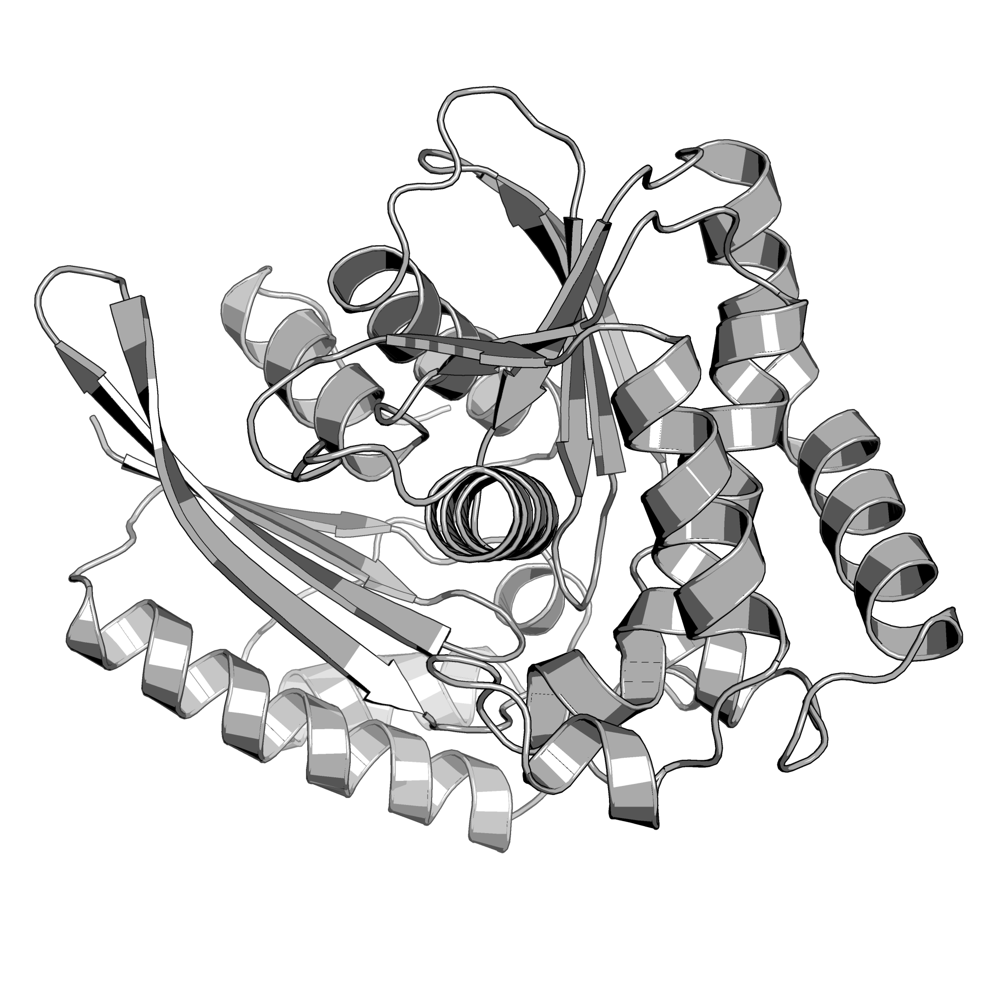 3MDQ structure