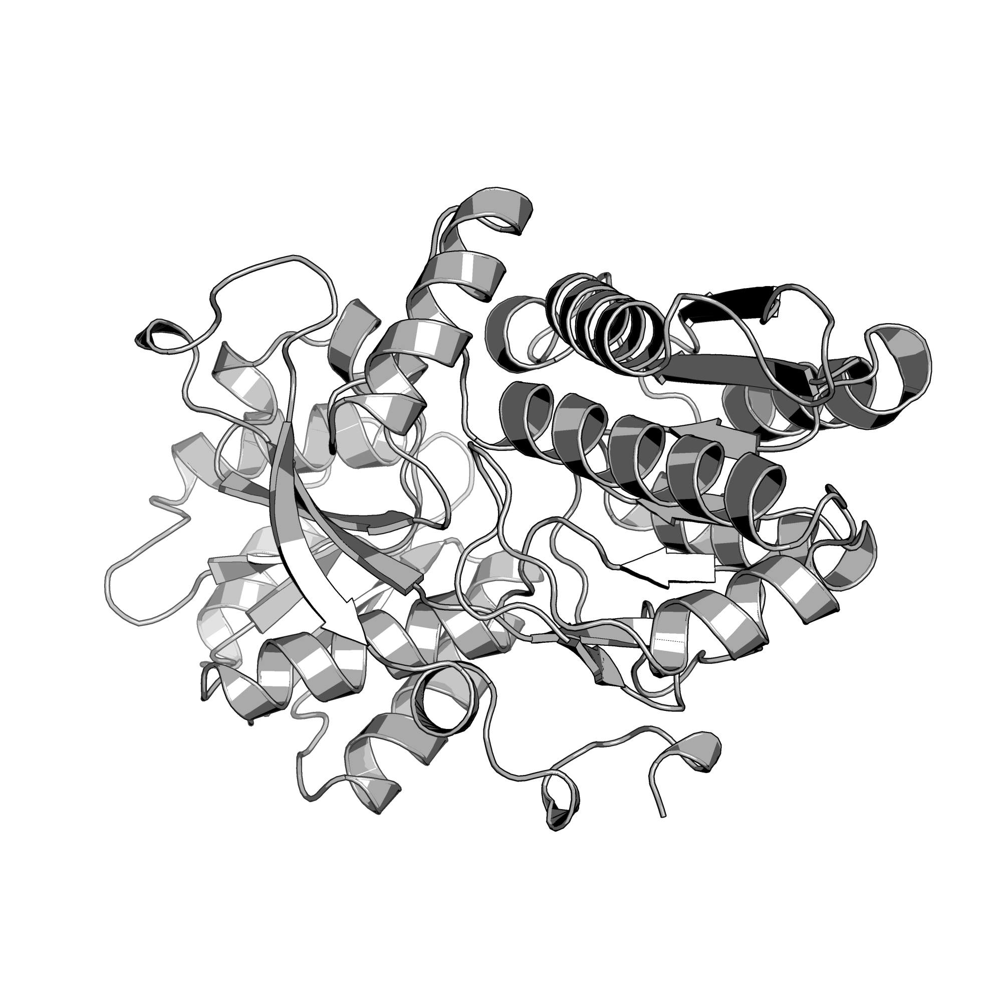 3N0W structure