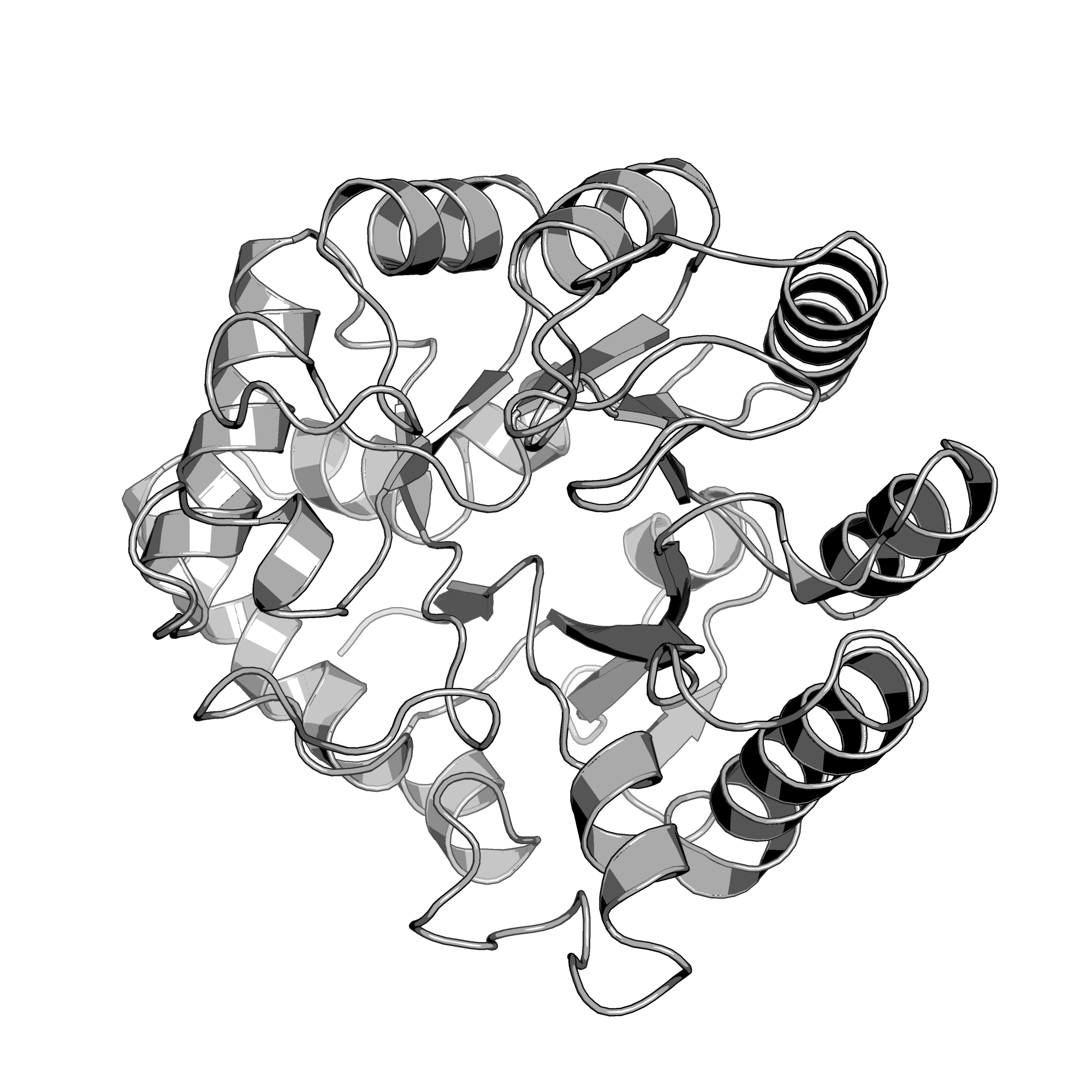 3NEH structure