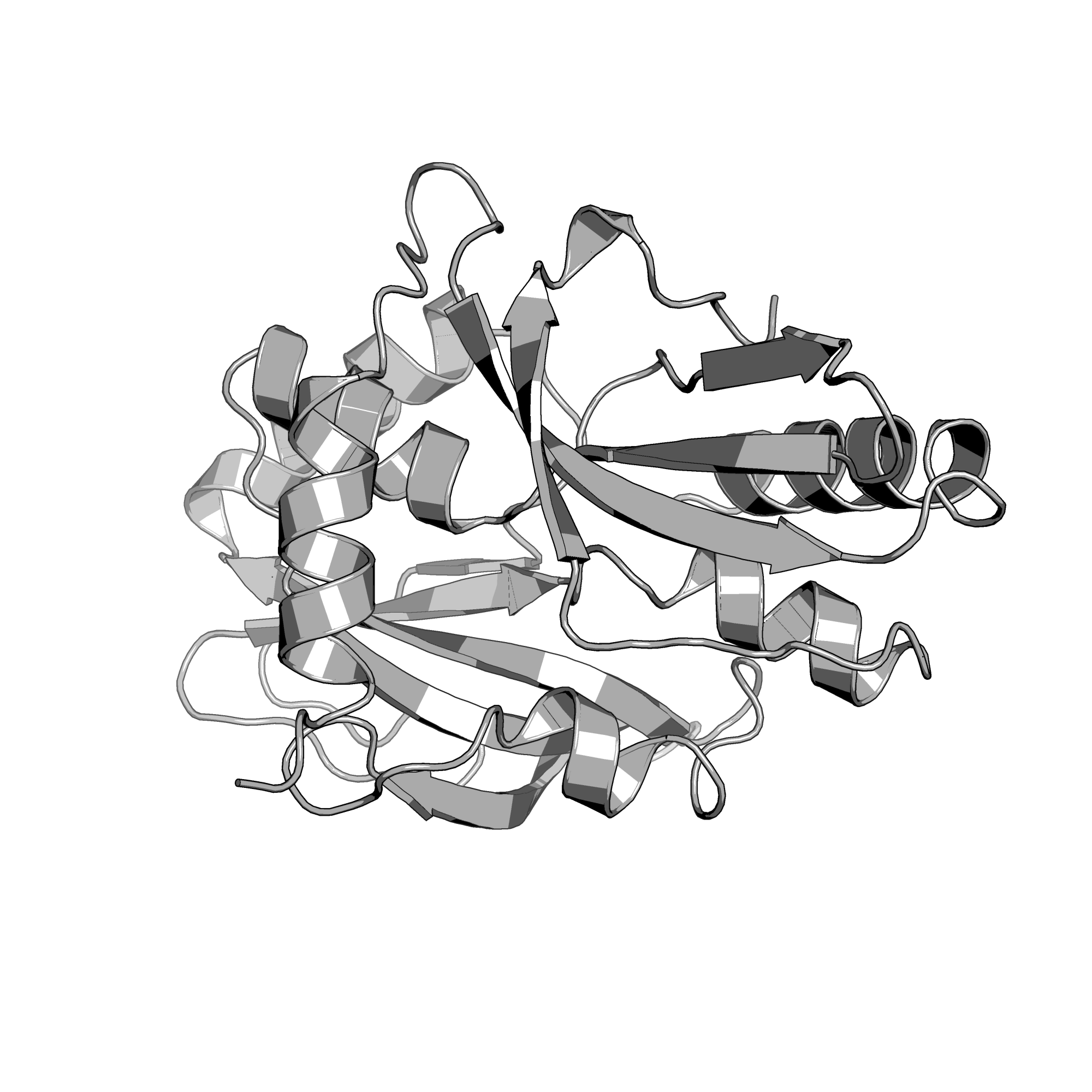 3NEK structure