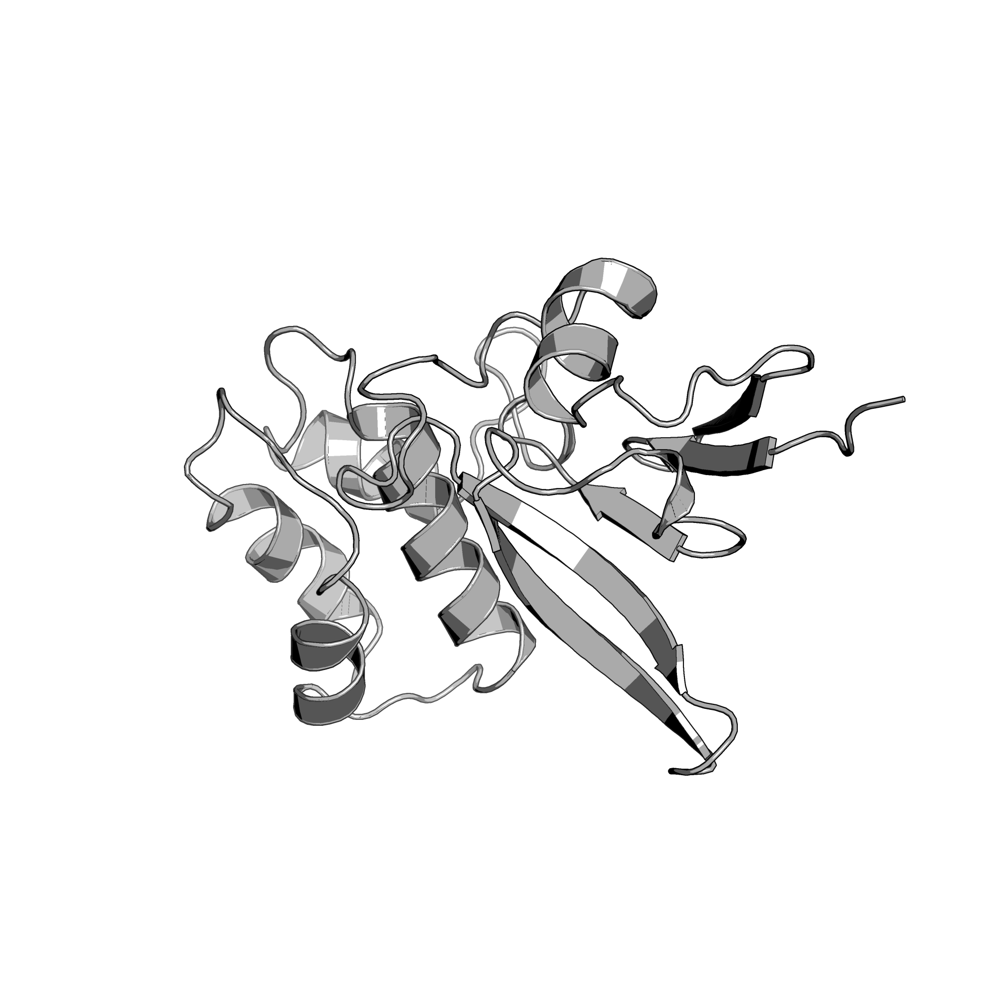 3NVW structure