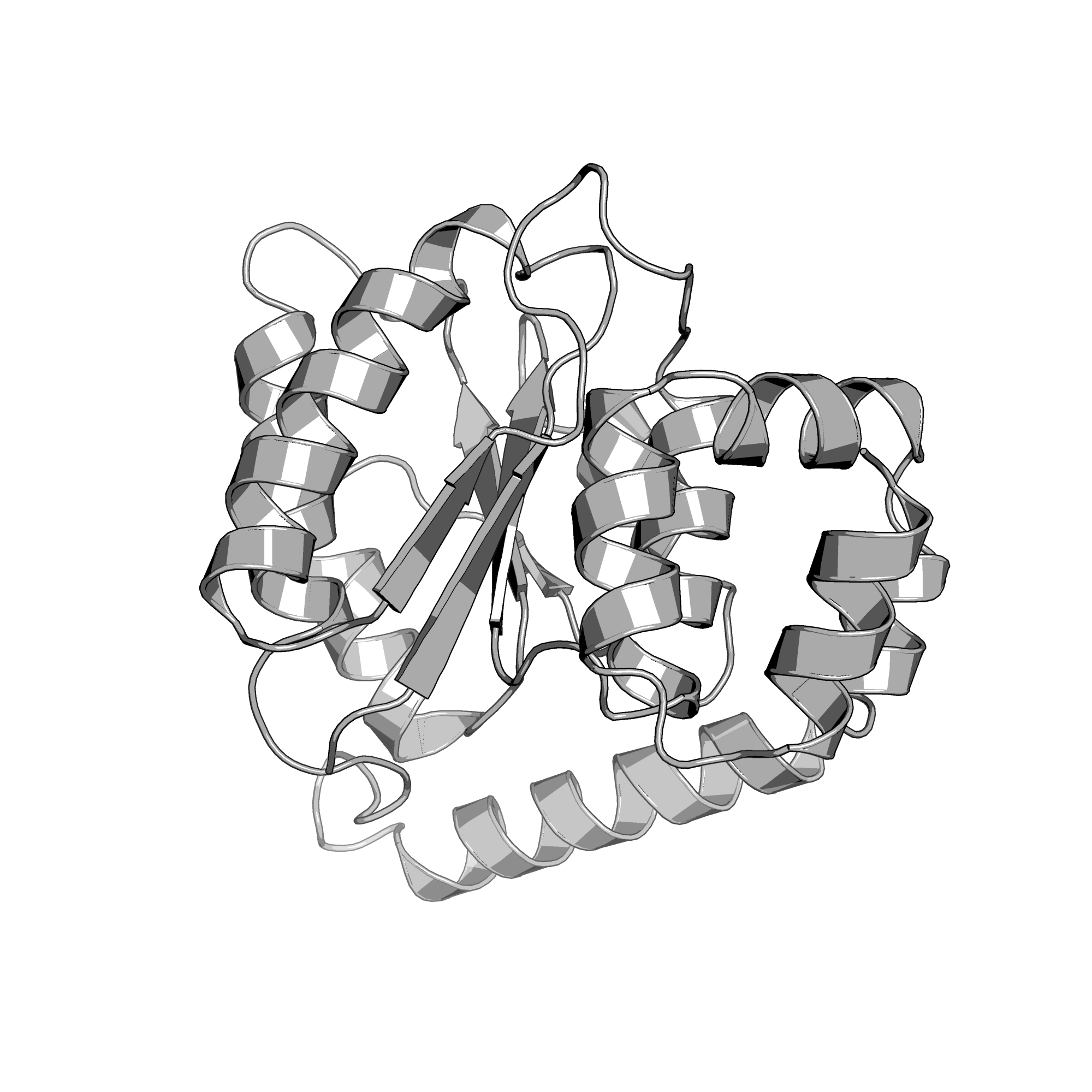 3ONO structure