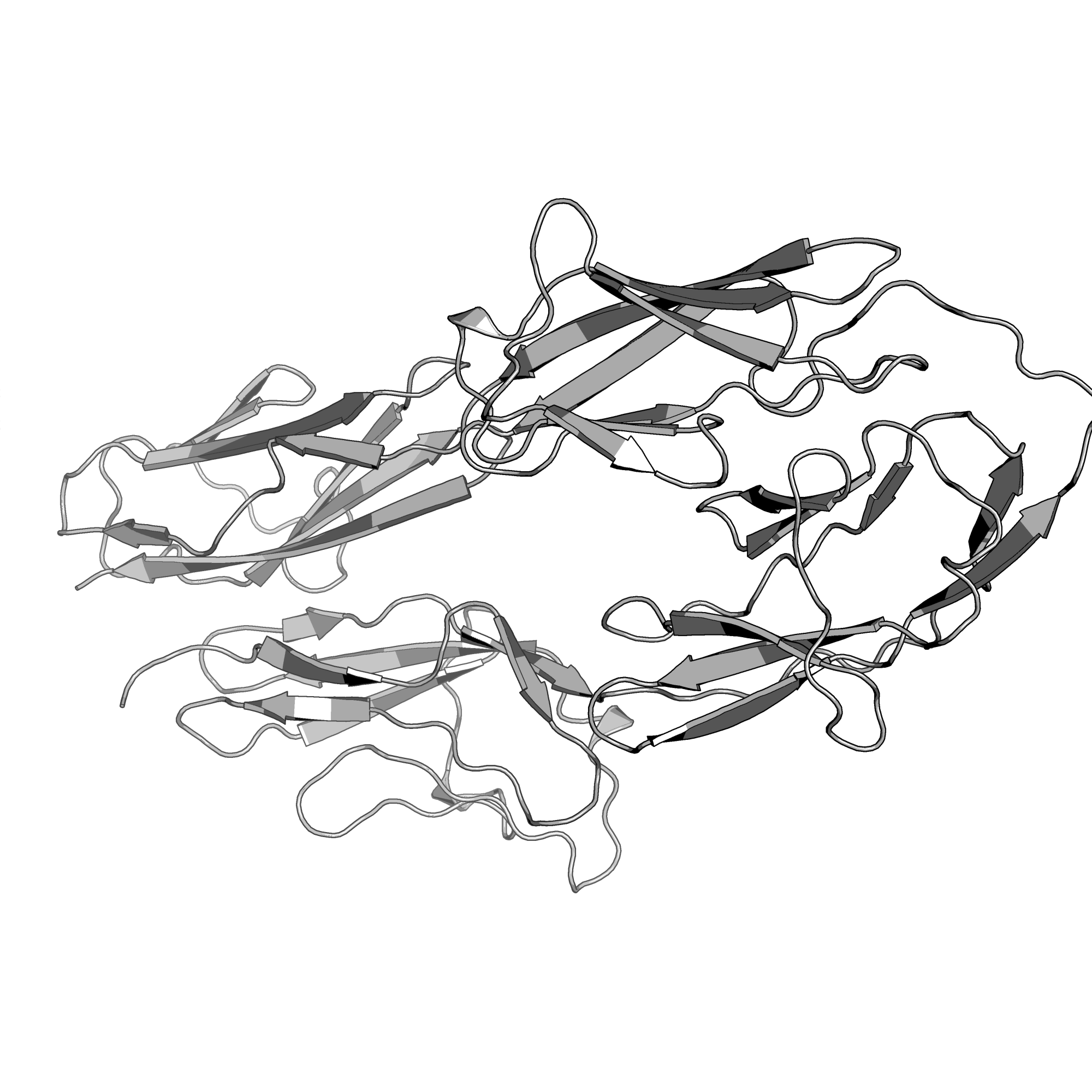 3P3Y structure