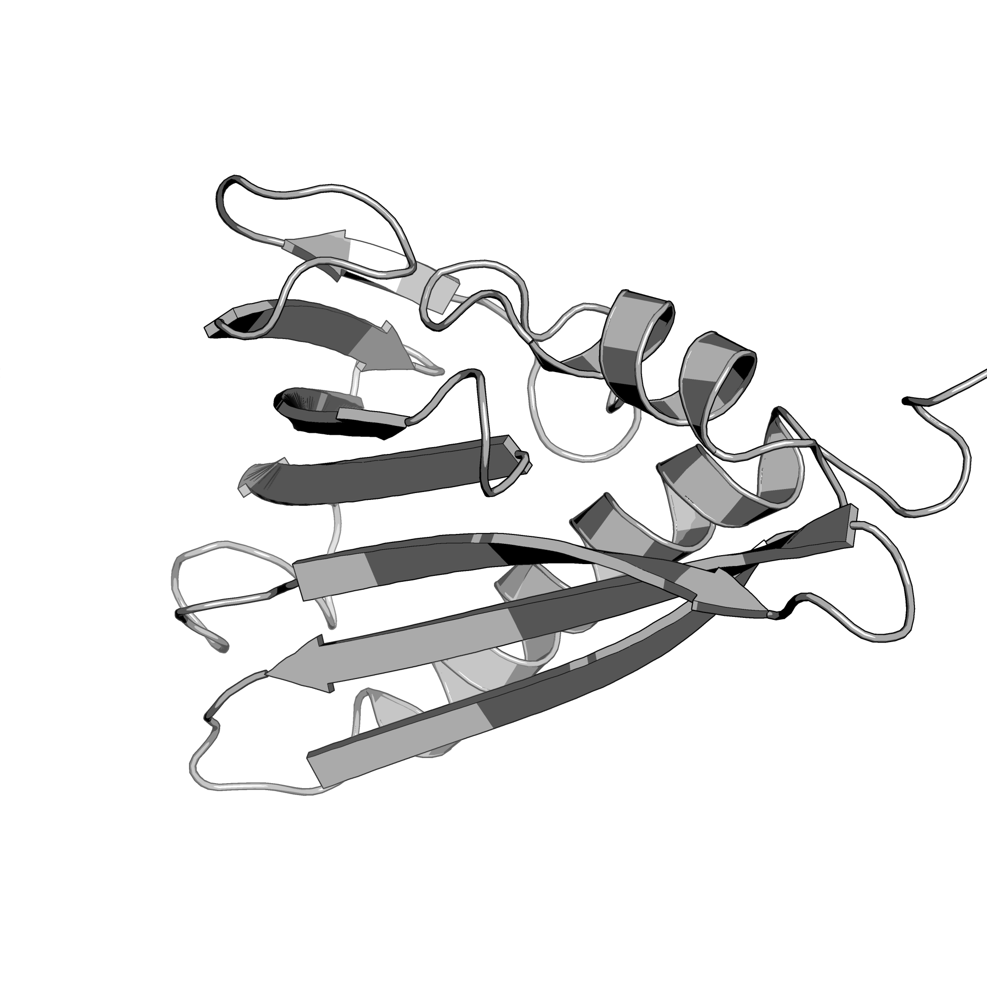 3P51 structure