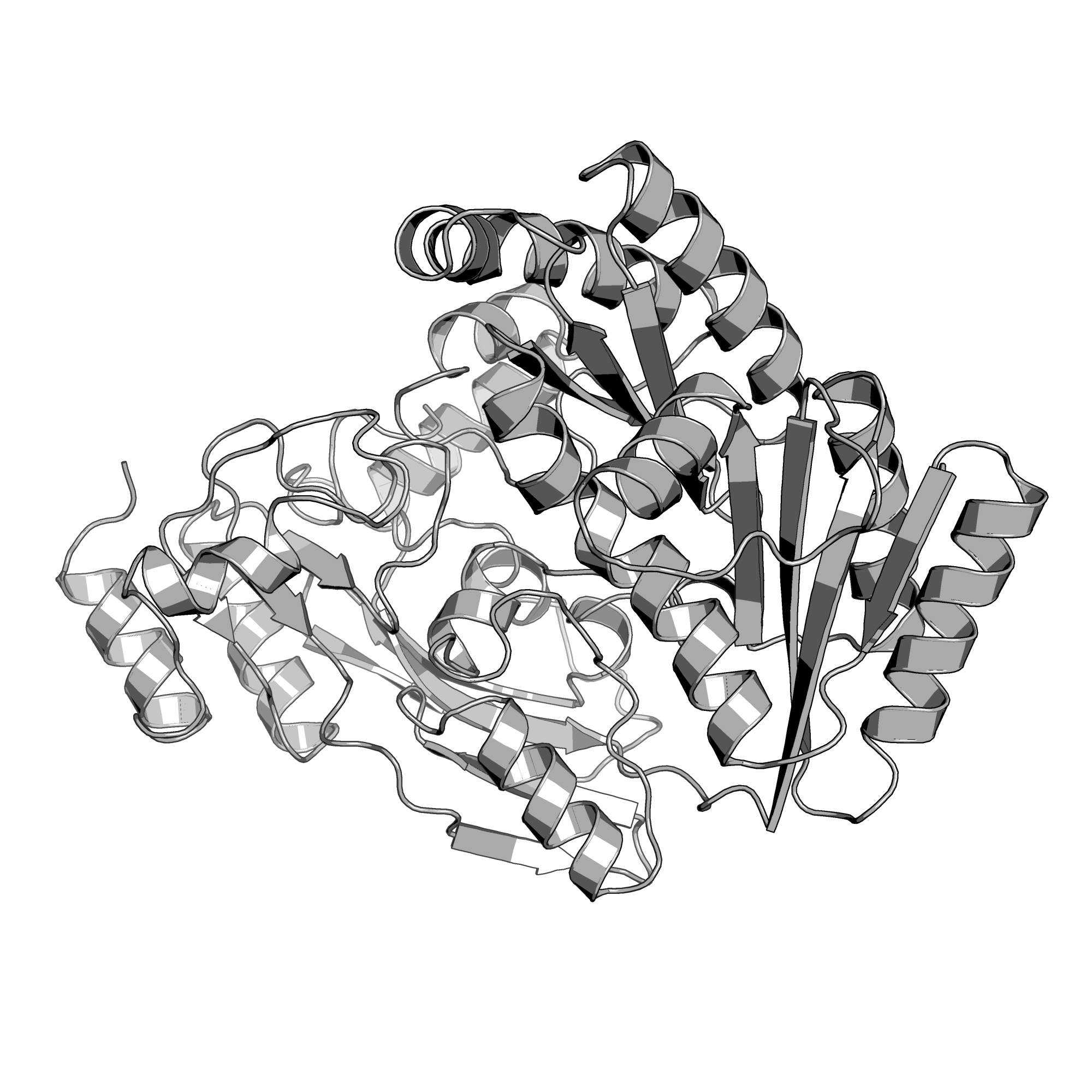 3PM9 structure