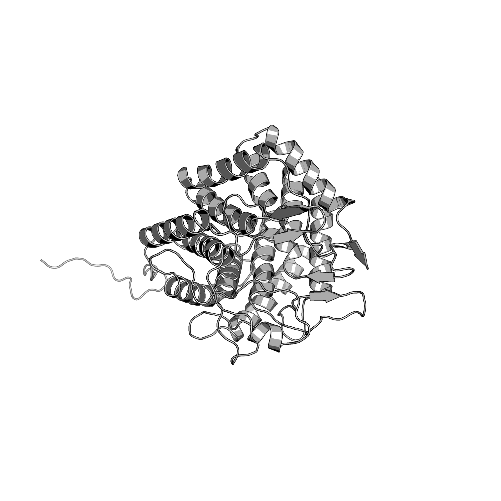 3PMM structure