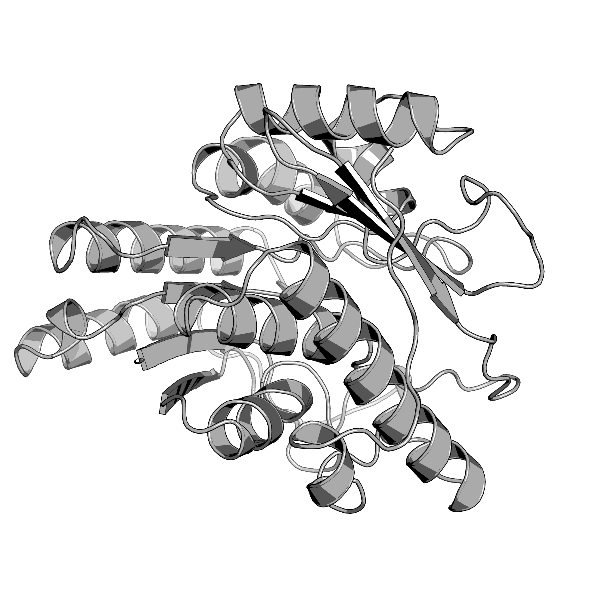 3PZS structure