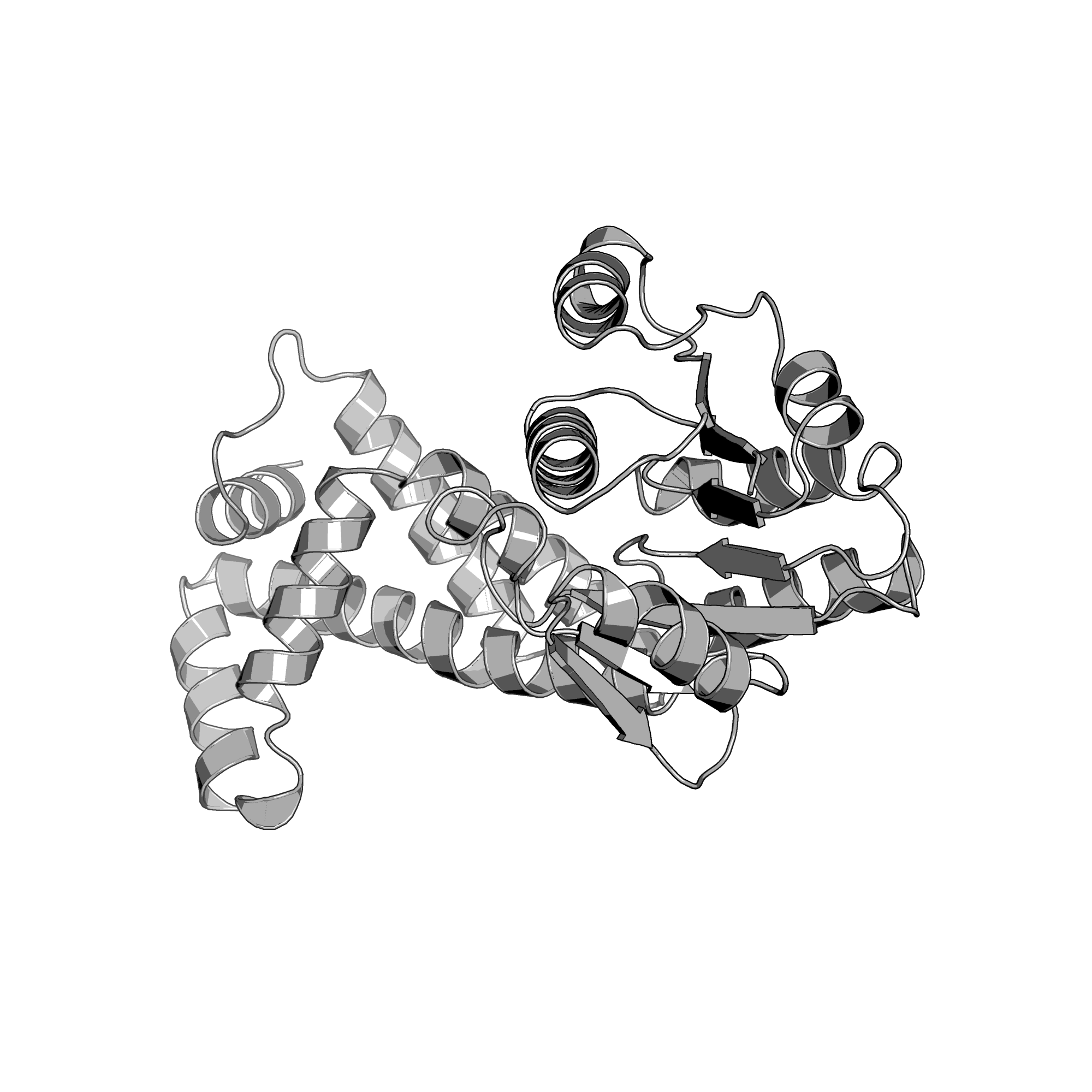 3QSG structure