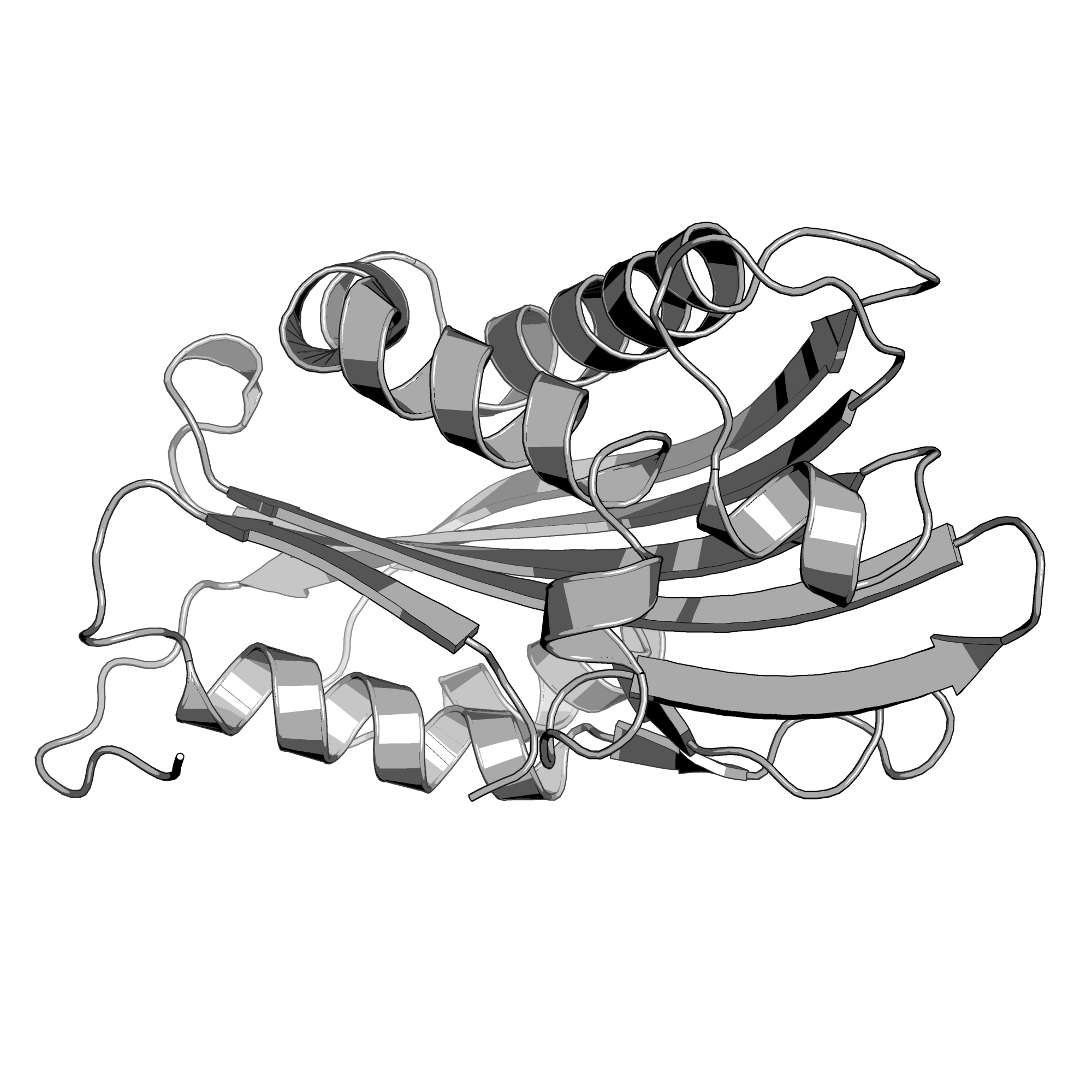 3RON structure