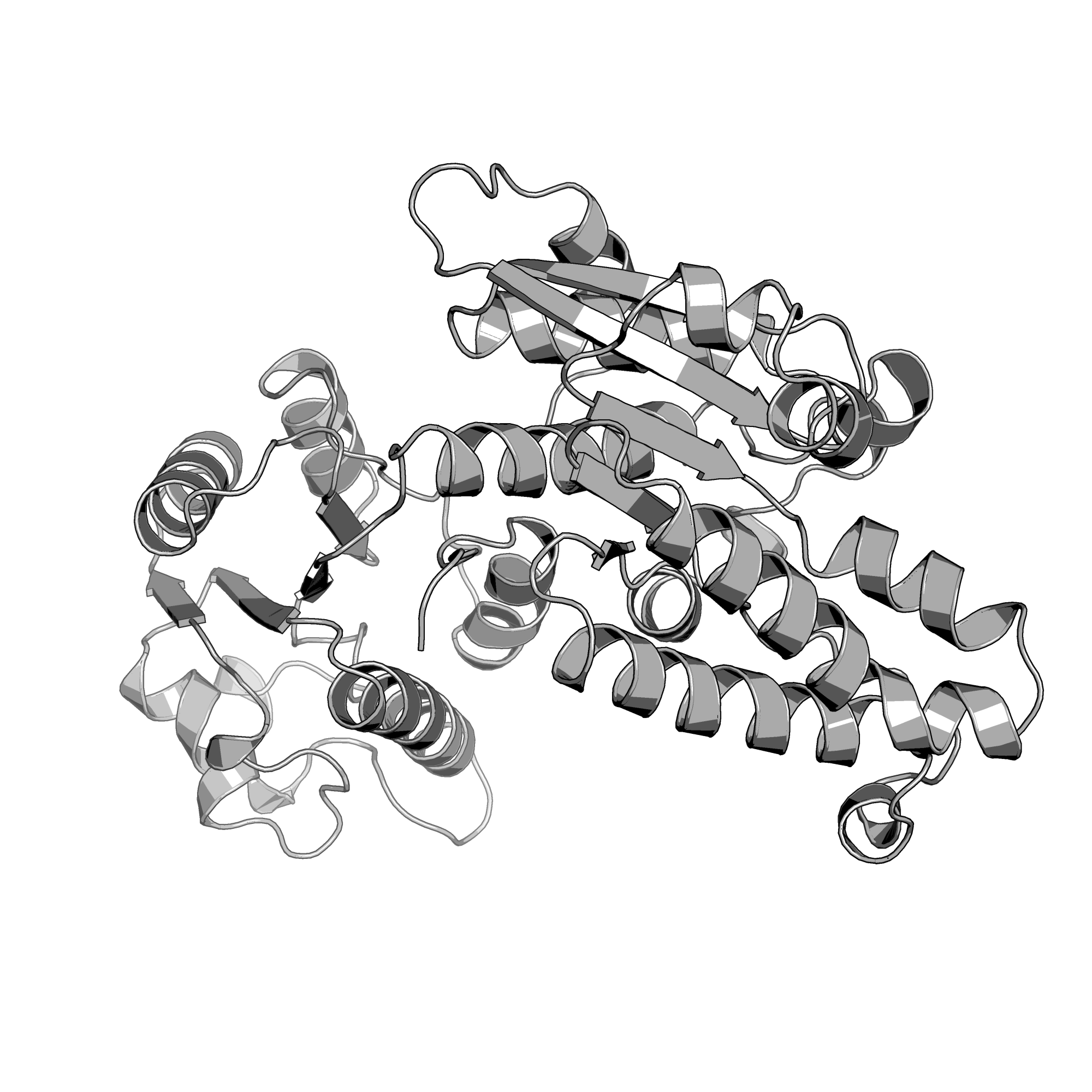 3SLR structure