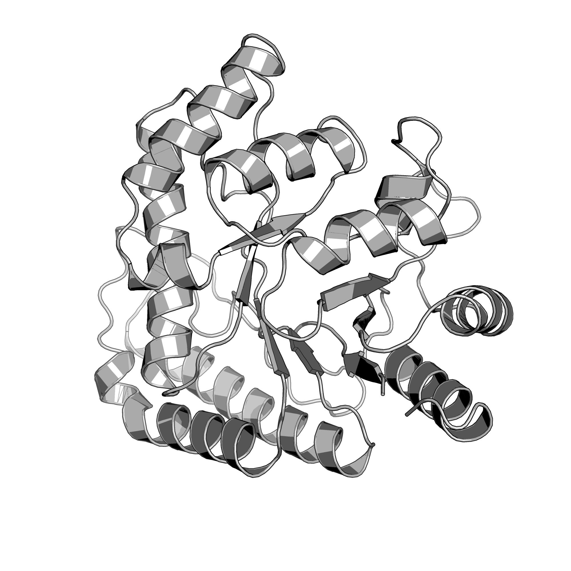 3TC3 structure