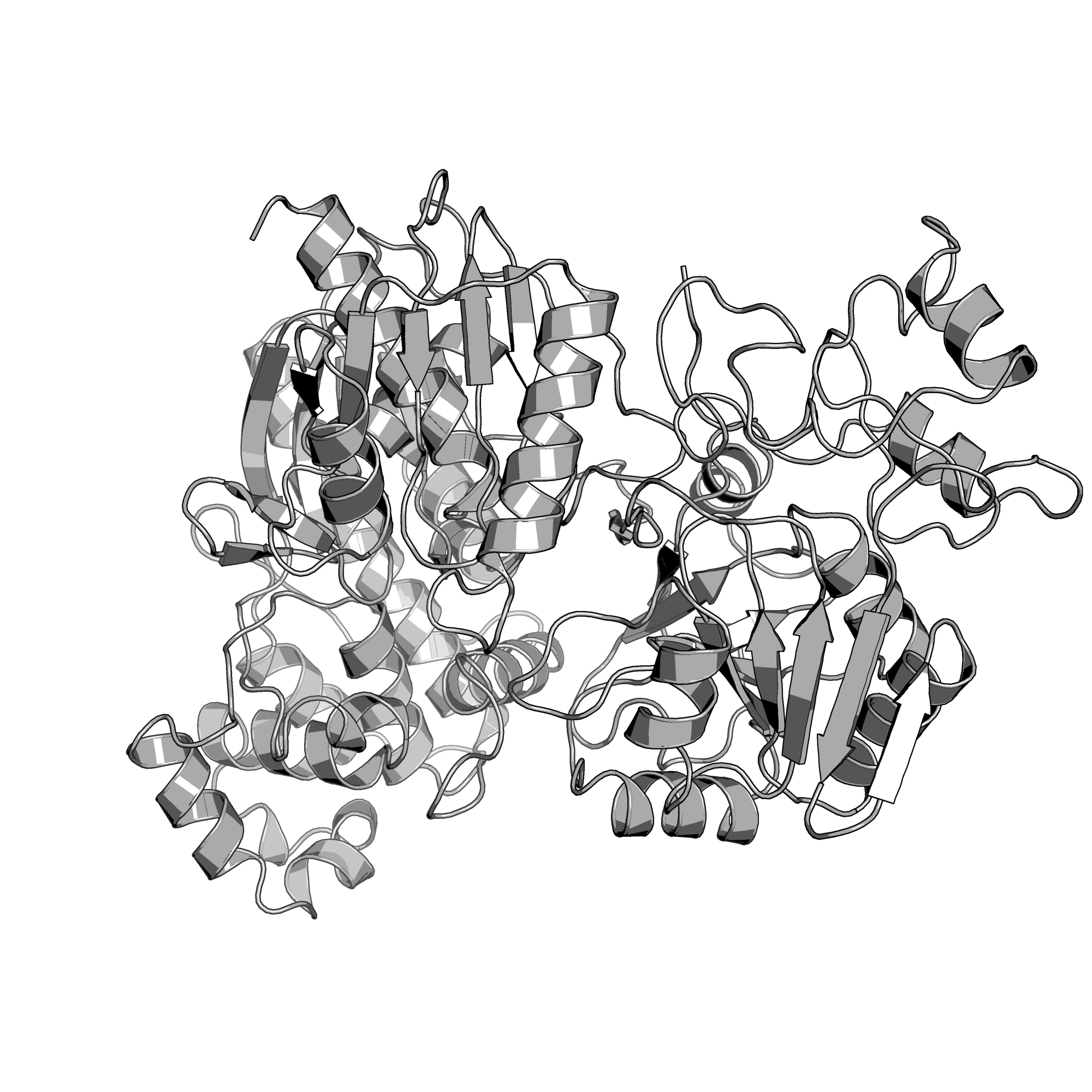 3TSP structure