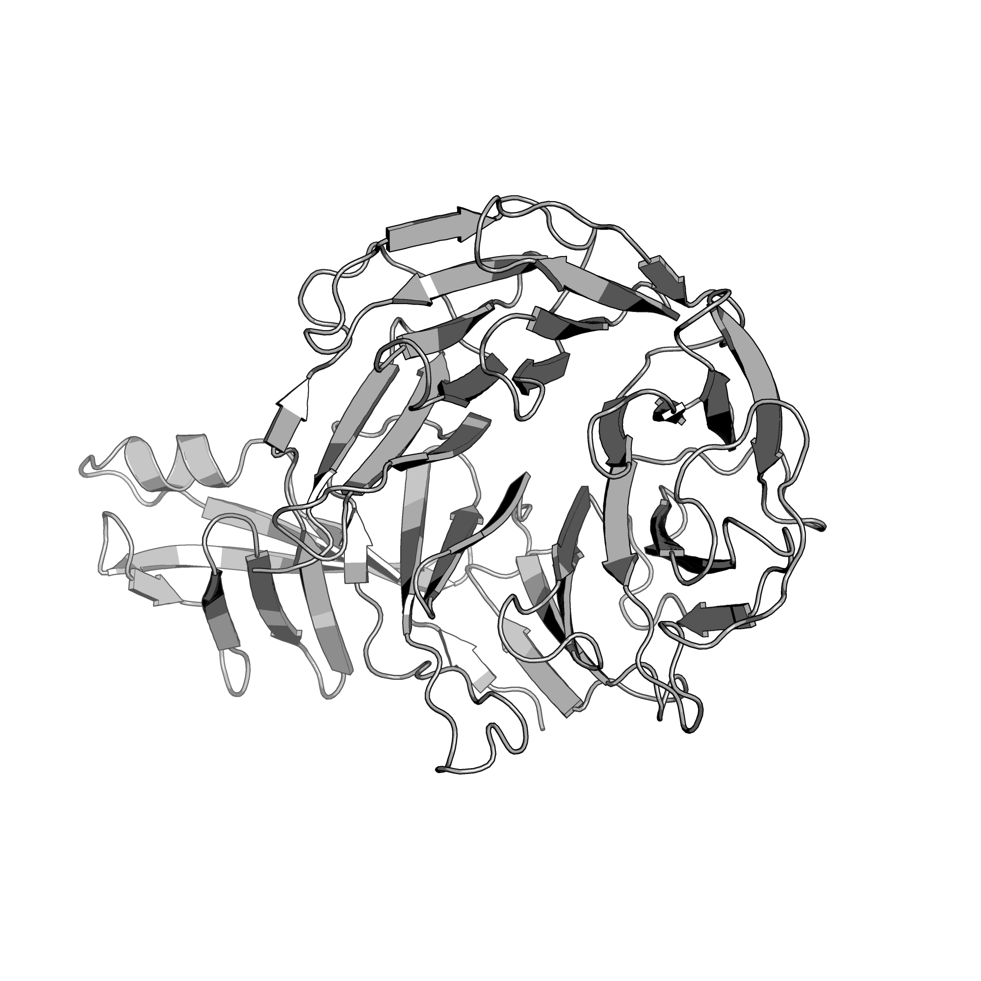 3VL1 structure