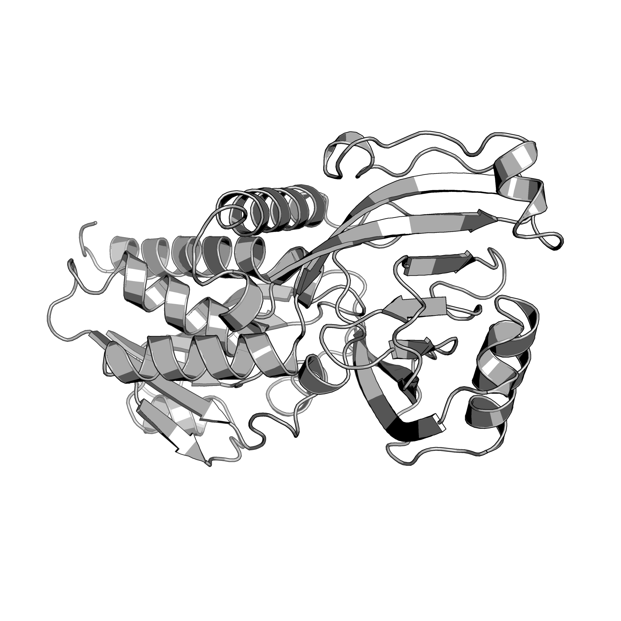 3WGT structure