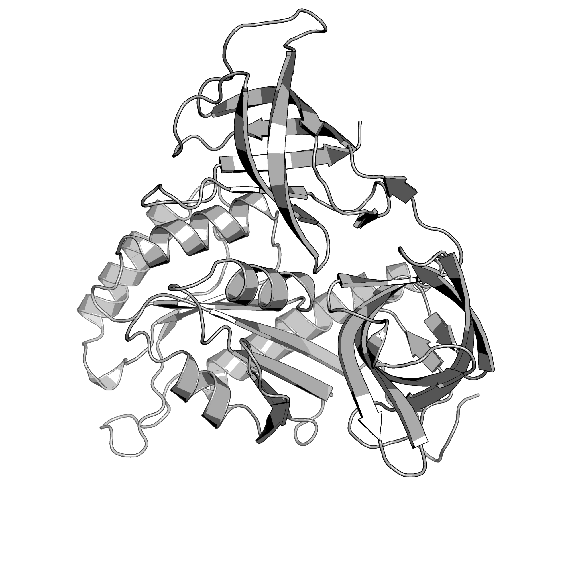 3WND structure
