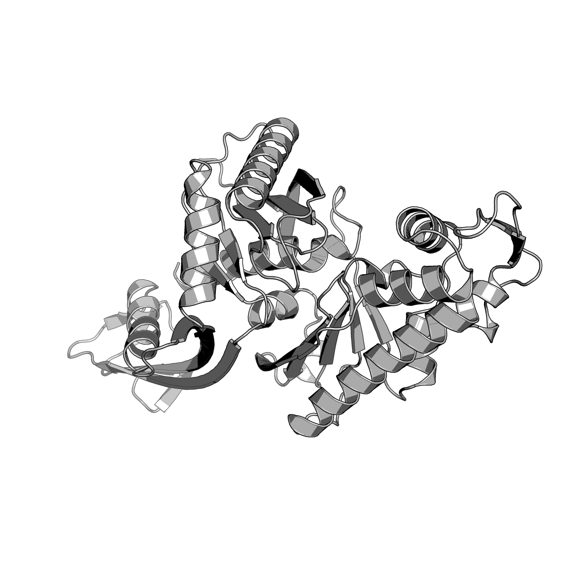 3WT0 structure