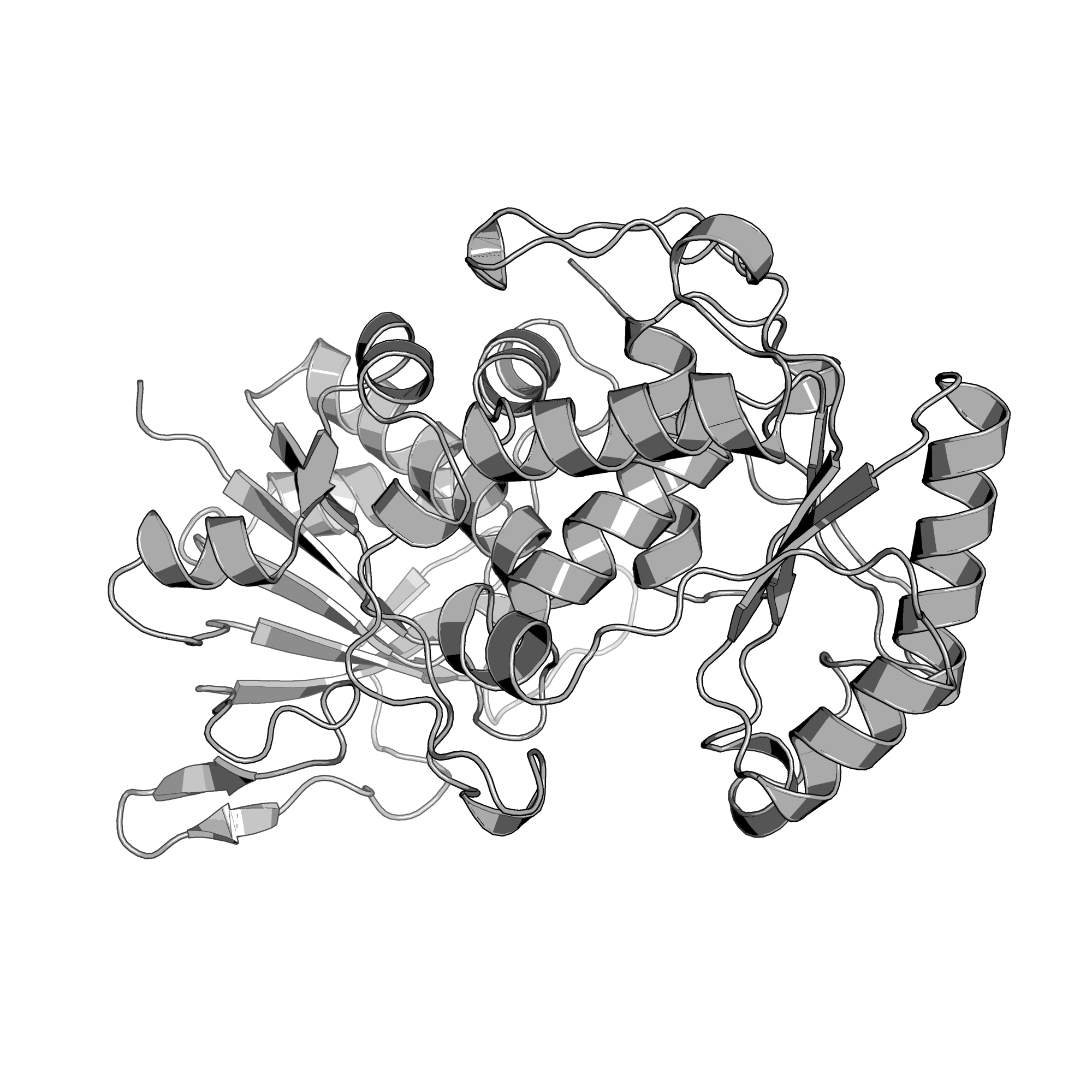 4AP5 structure