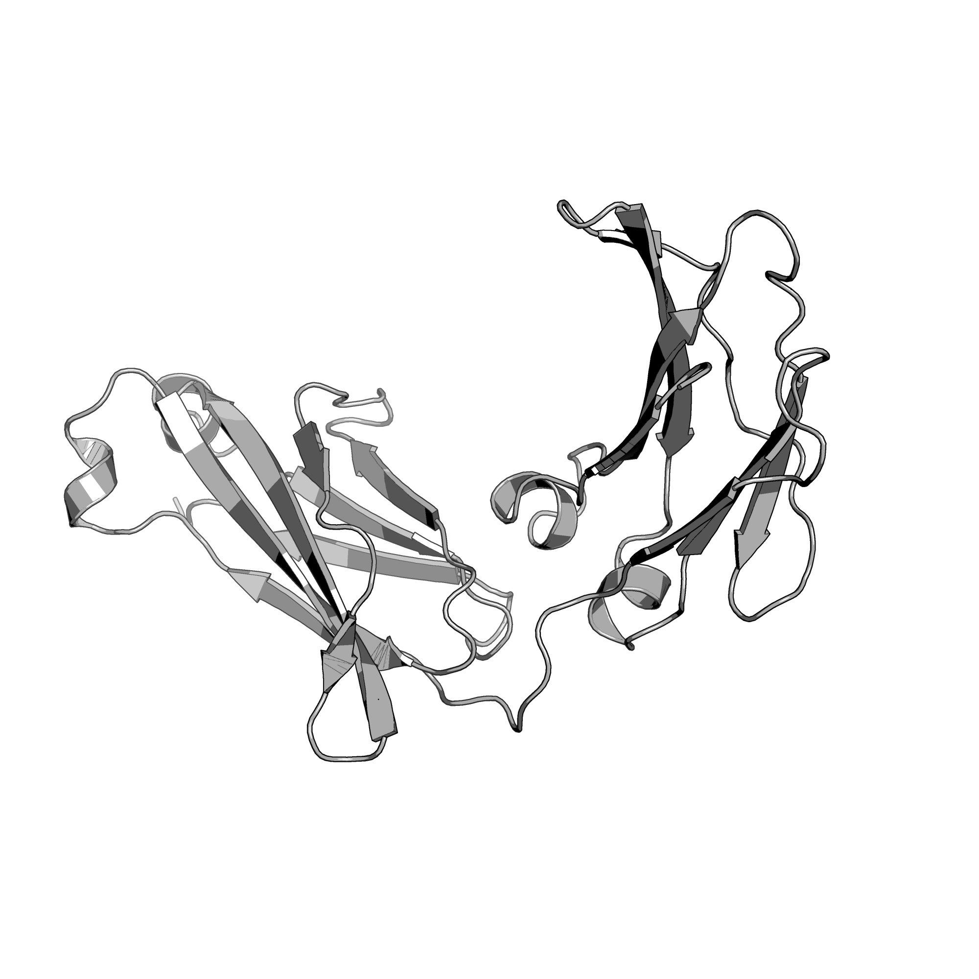 4BSV structure