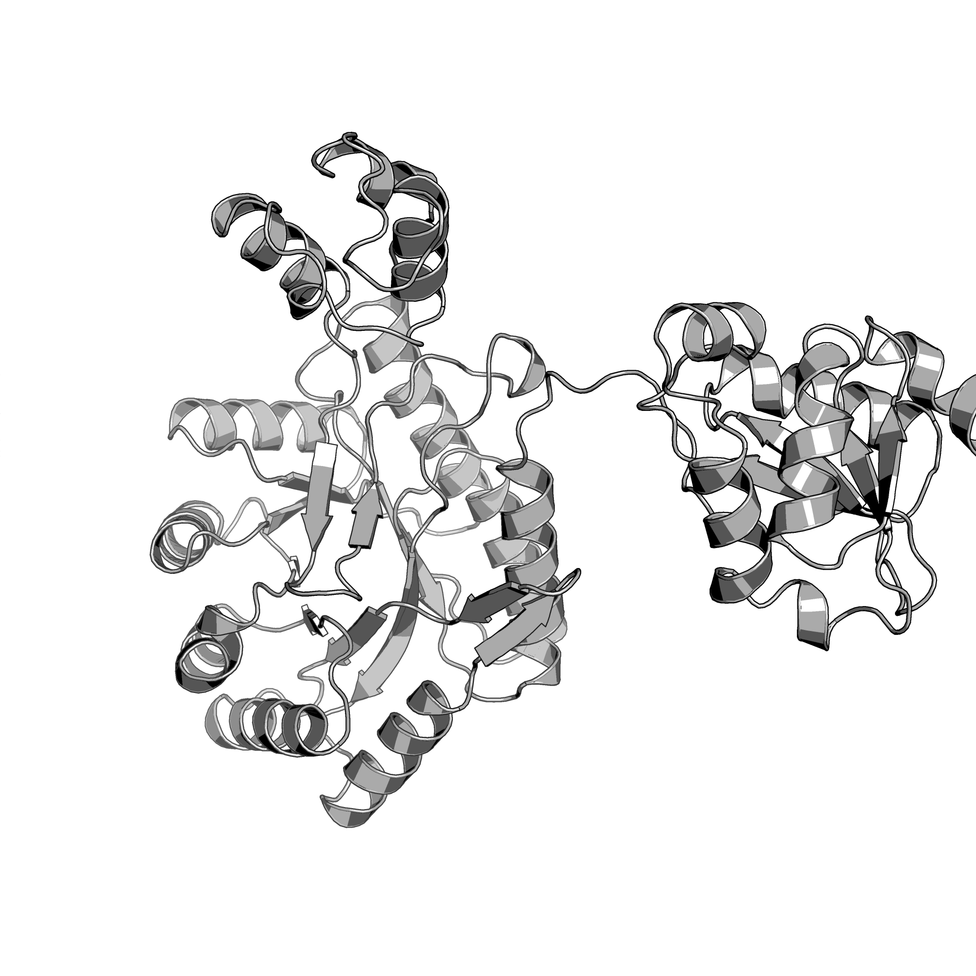 4C1N structure