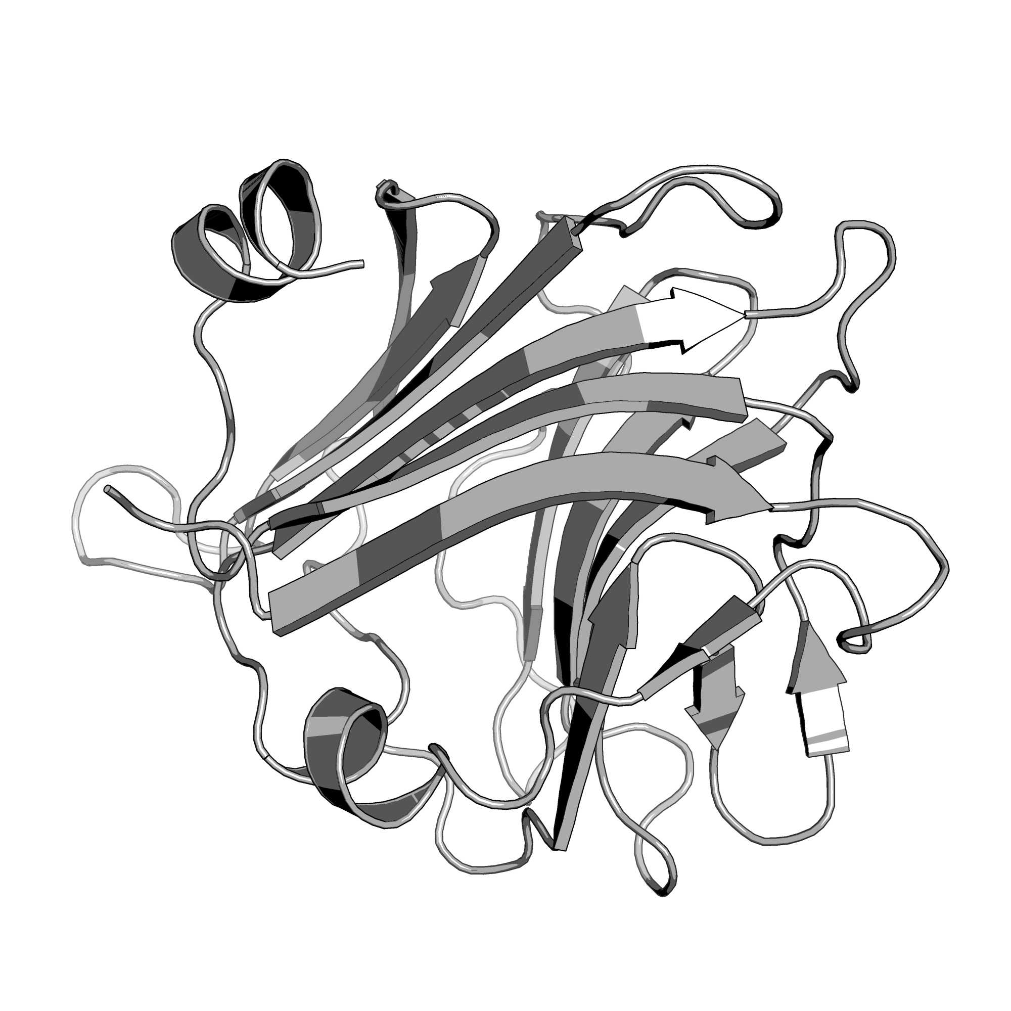 4C1W structure