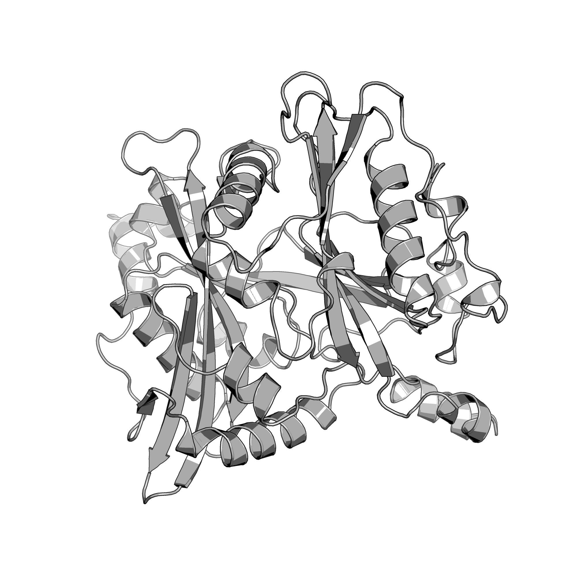 4CGO structure